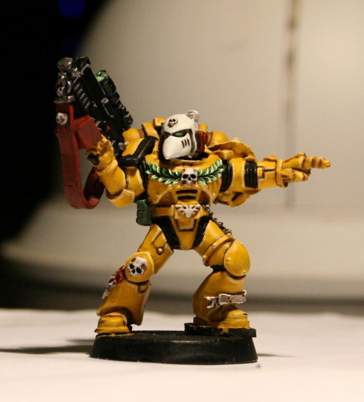 Beaky, Imperial Fists, Space Marines, Yellow