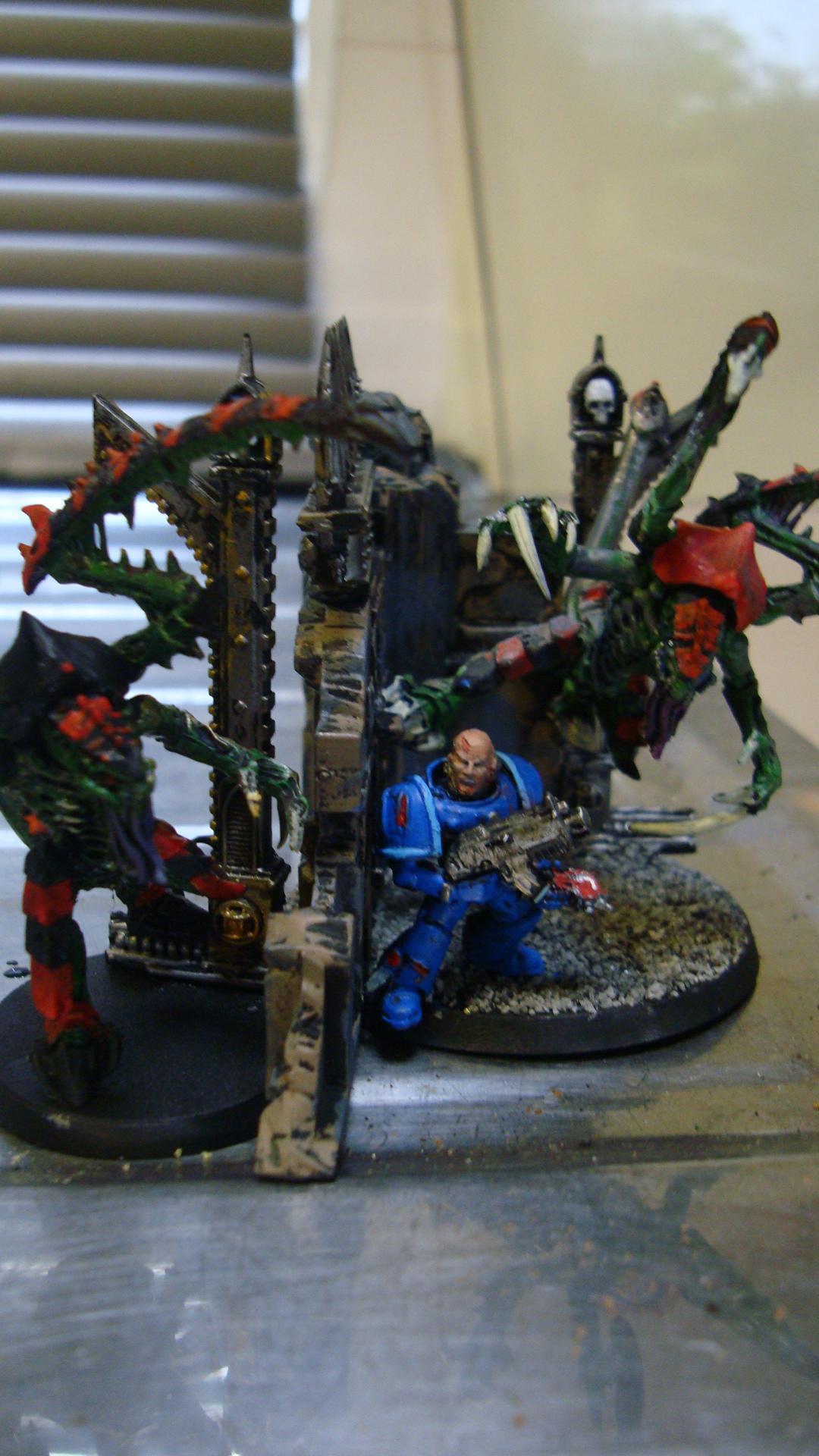 Diorama, Lictor, Lictor updated