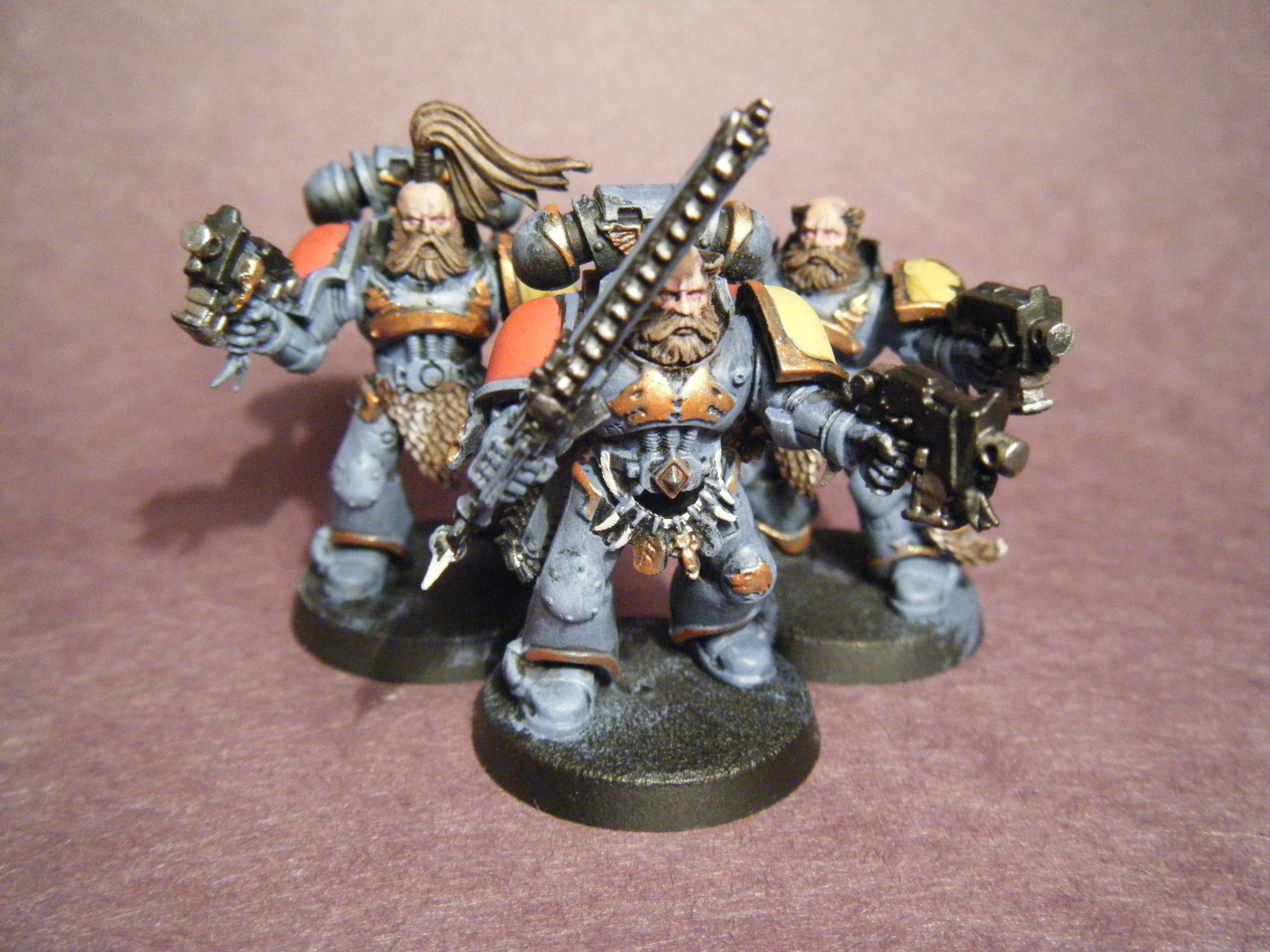 Space Wolves Grey Hunters (1)