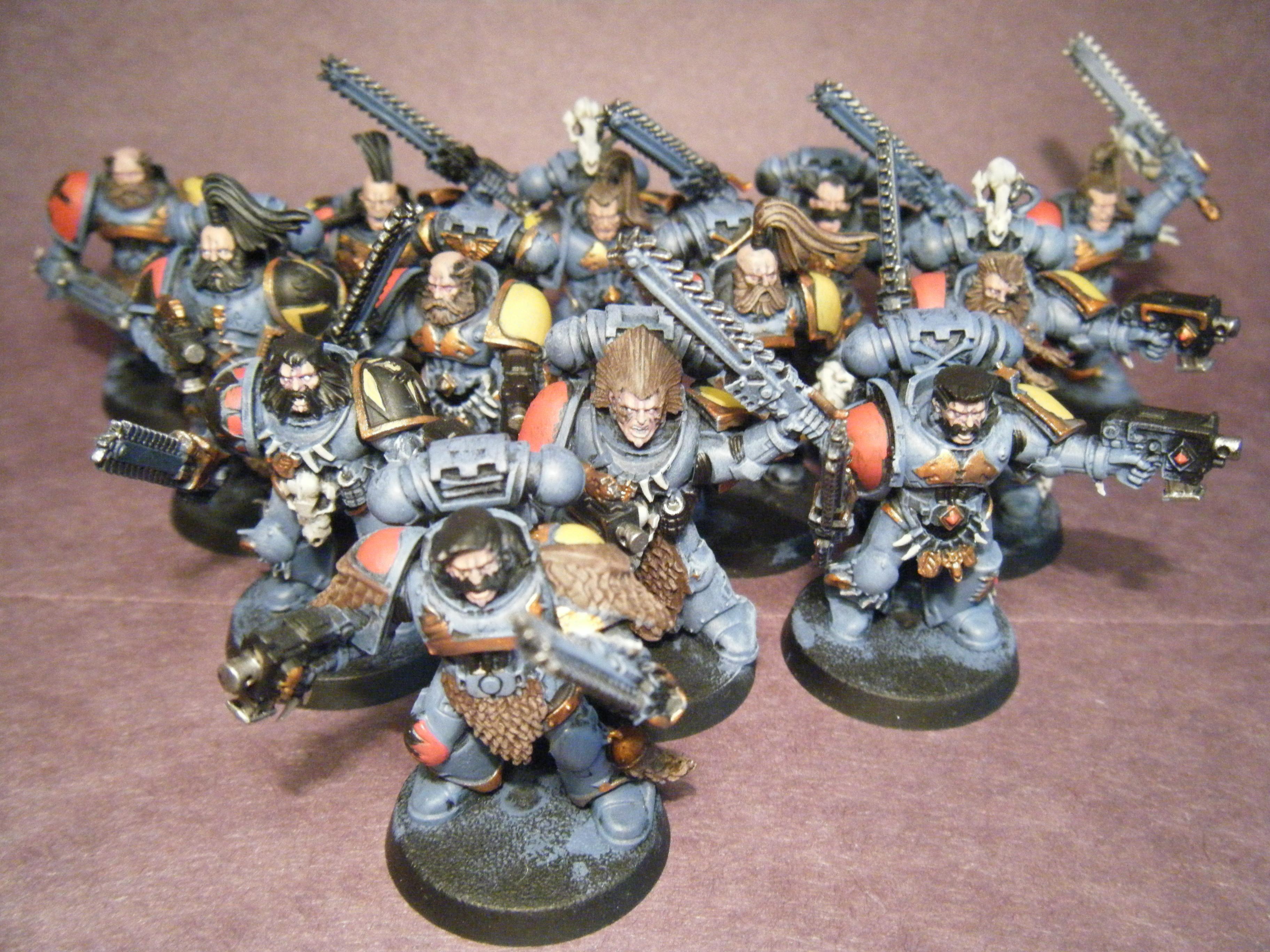 Space Wolves Grey Hunters (2)