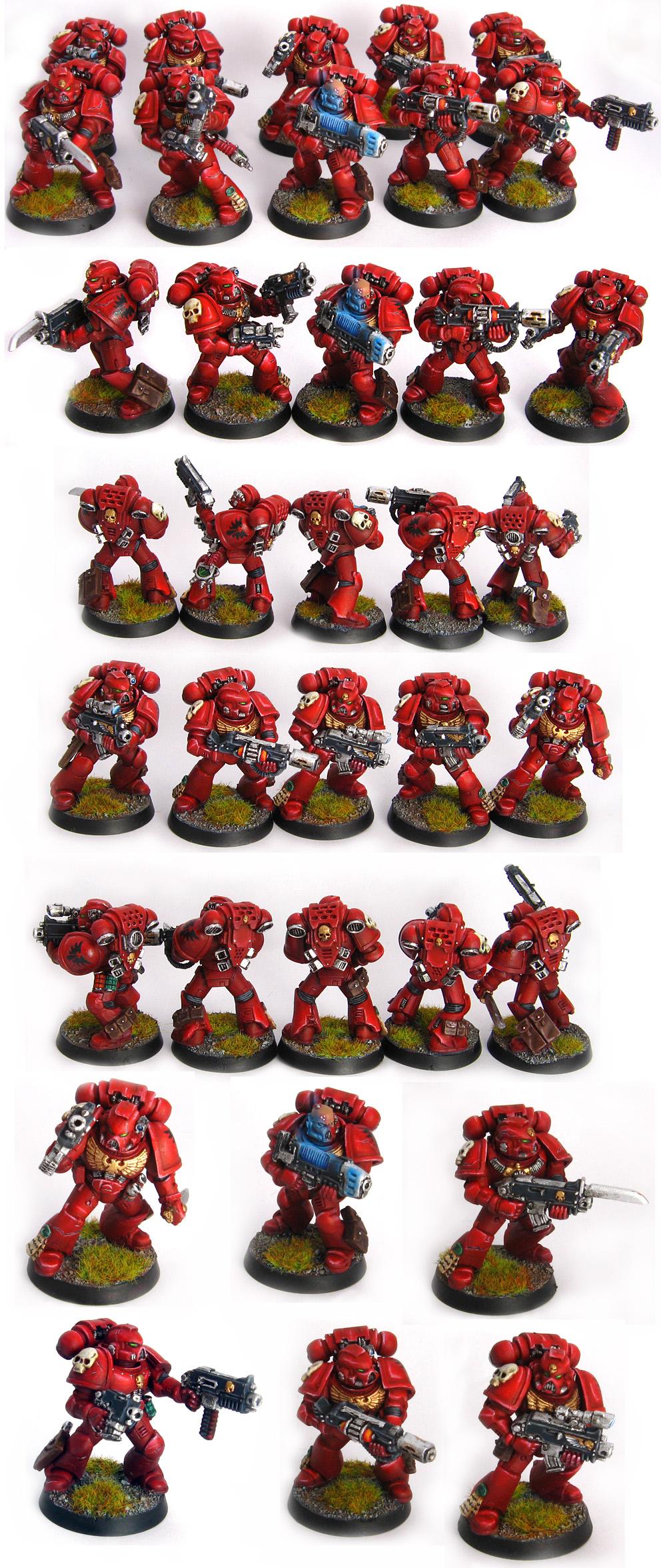 Angel, Blood, Blood Angels, Tactical. Ba