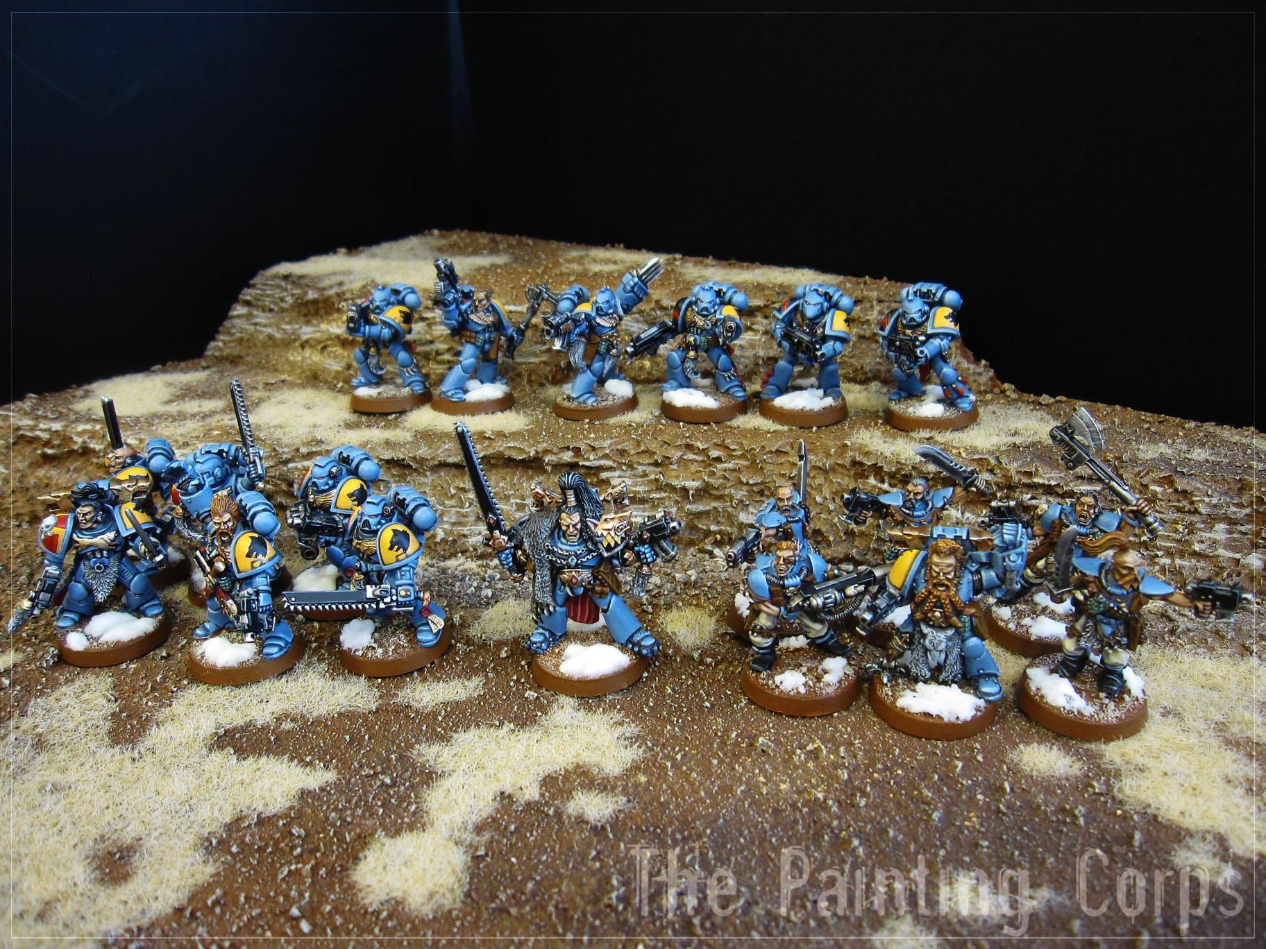 Blood Claws, Grey Hunters, Scouts, Space Marines, Space Wolves, Warhammer 40,000, Wolf Guard, Wolf Scouts