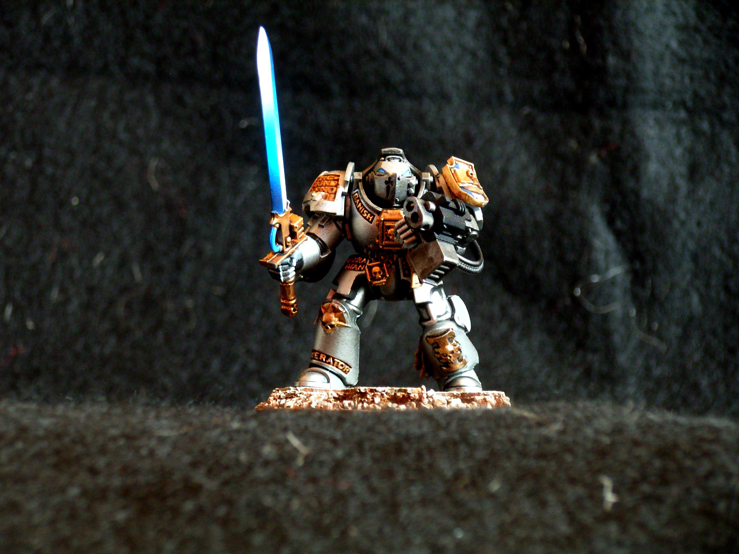 Grey Knights, Paladins