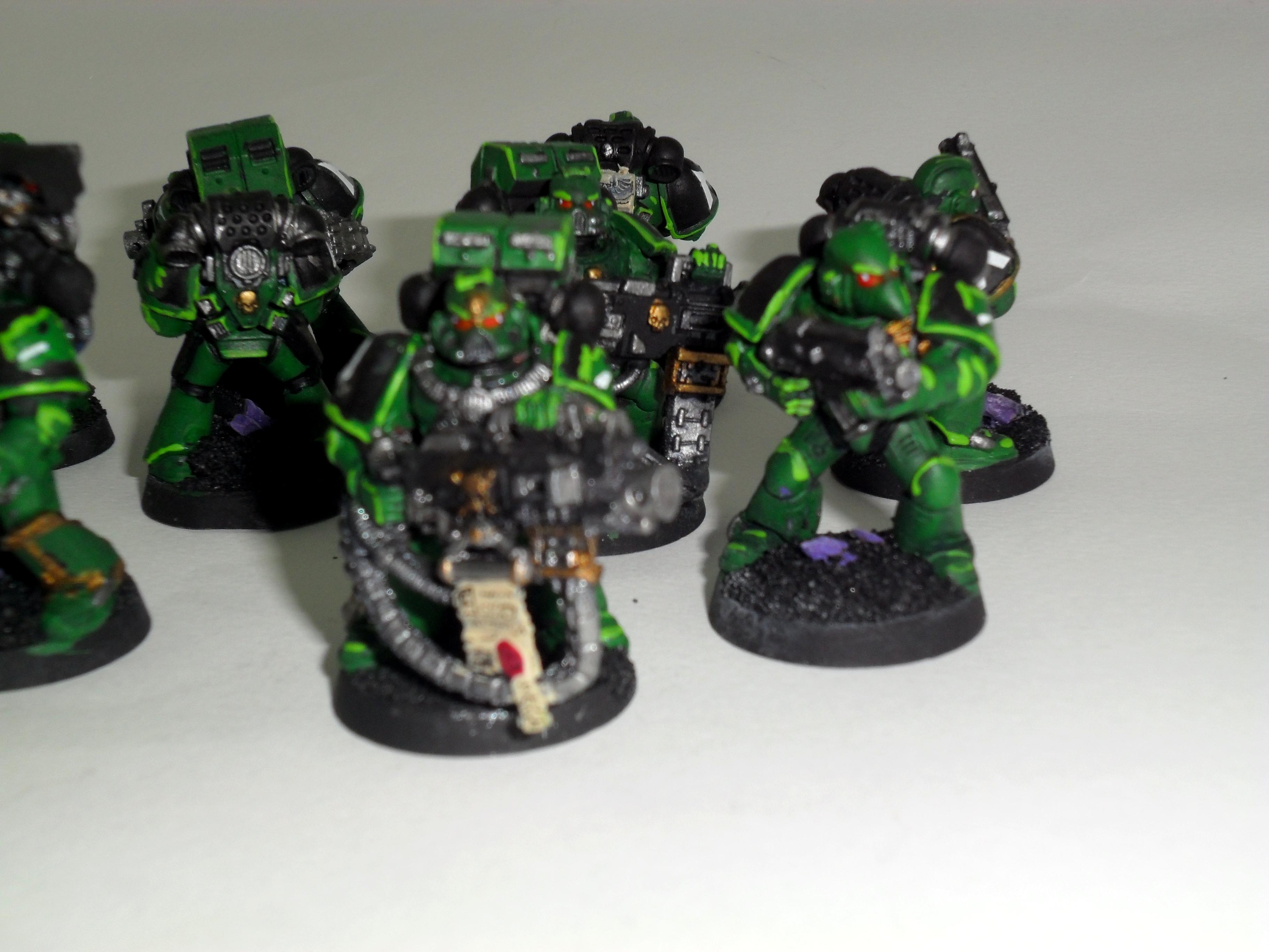Salamander, Dev 01 07