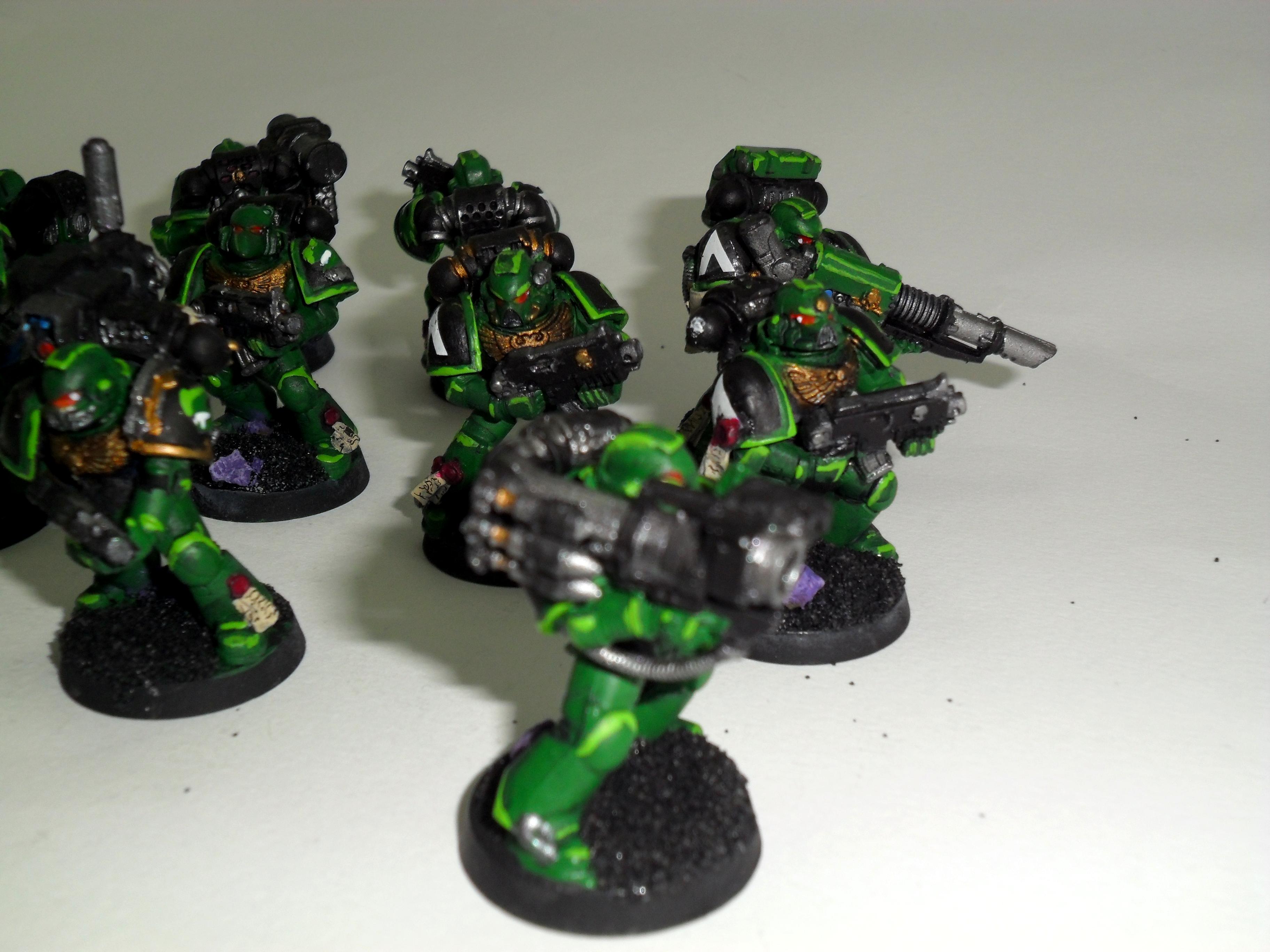 Salamander, Dev 03 08
