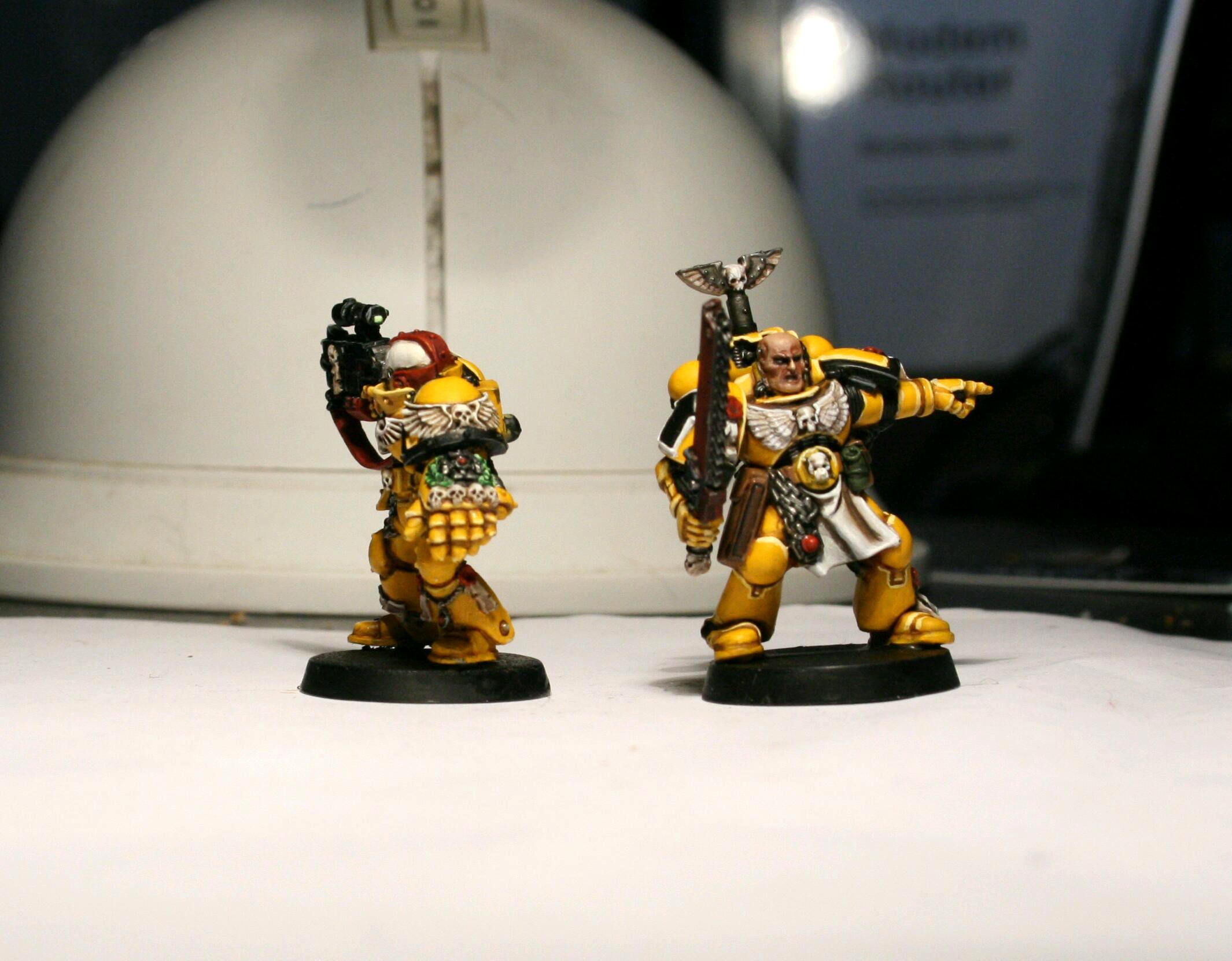 imperial fists sternguard  and sergeantt