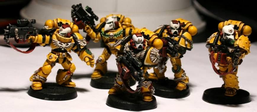 Imperial Fists, Space Marines, Sternguard