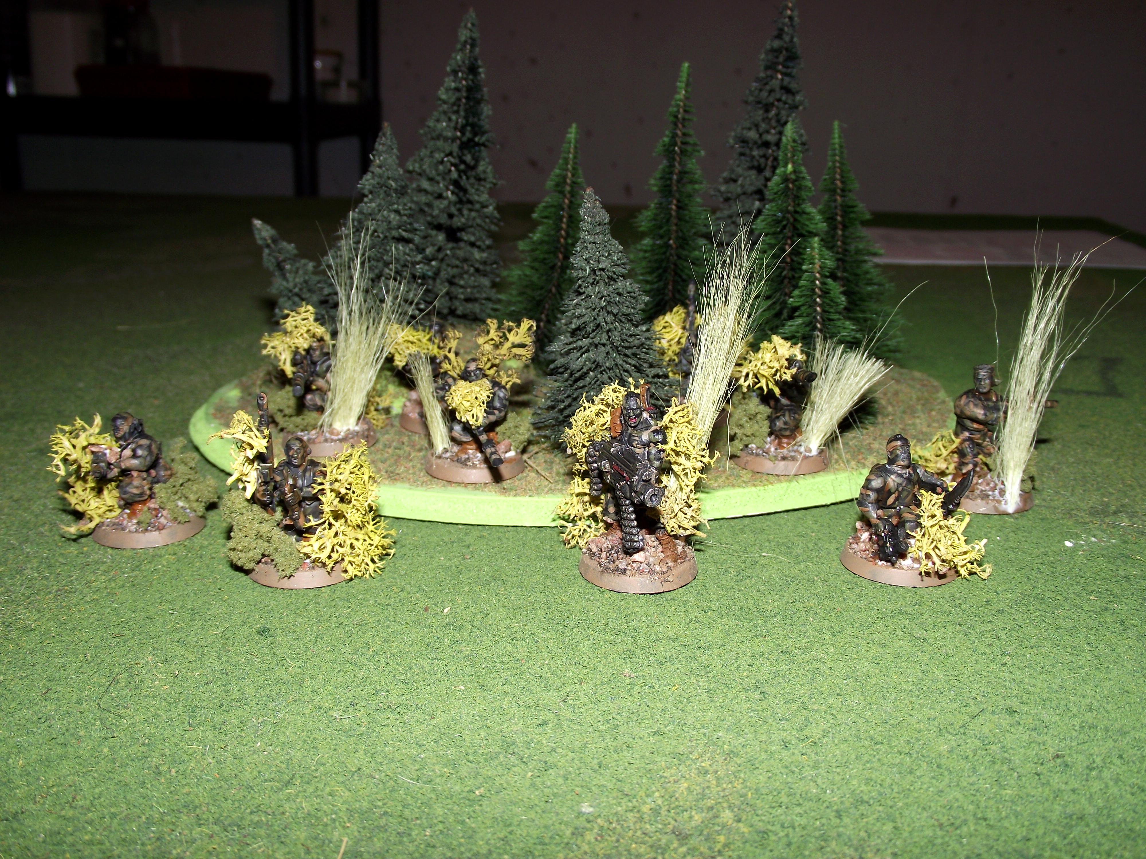 Catachan Veterans