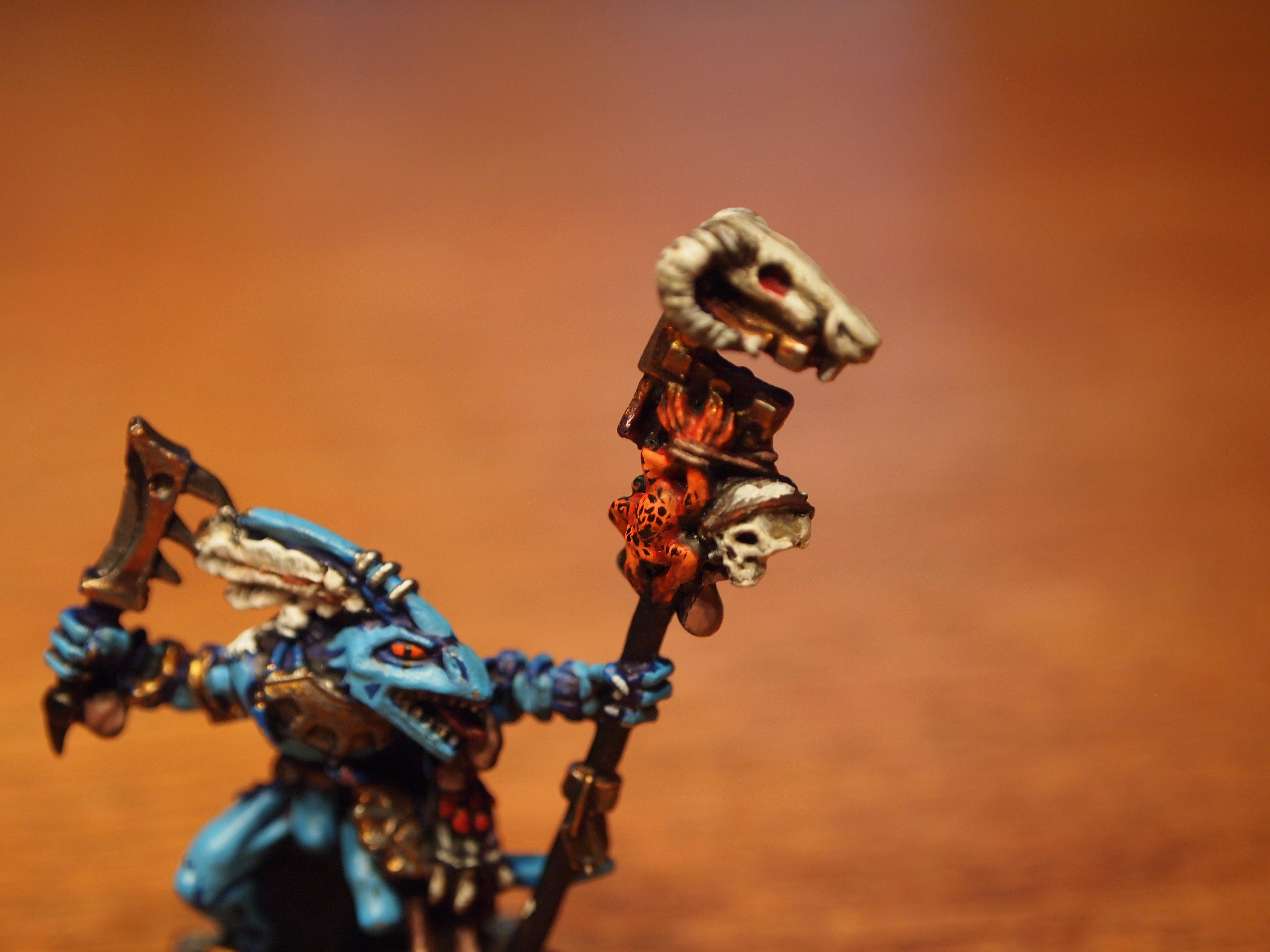 Army, Lizardmen, Skink Priest