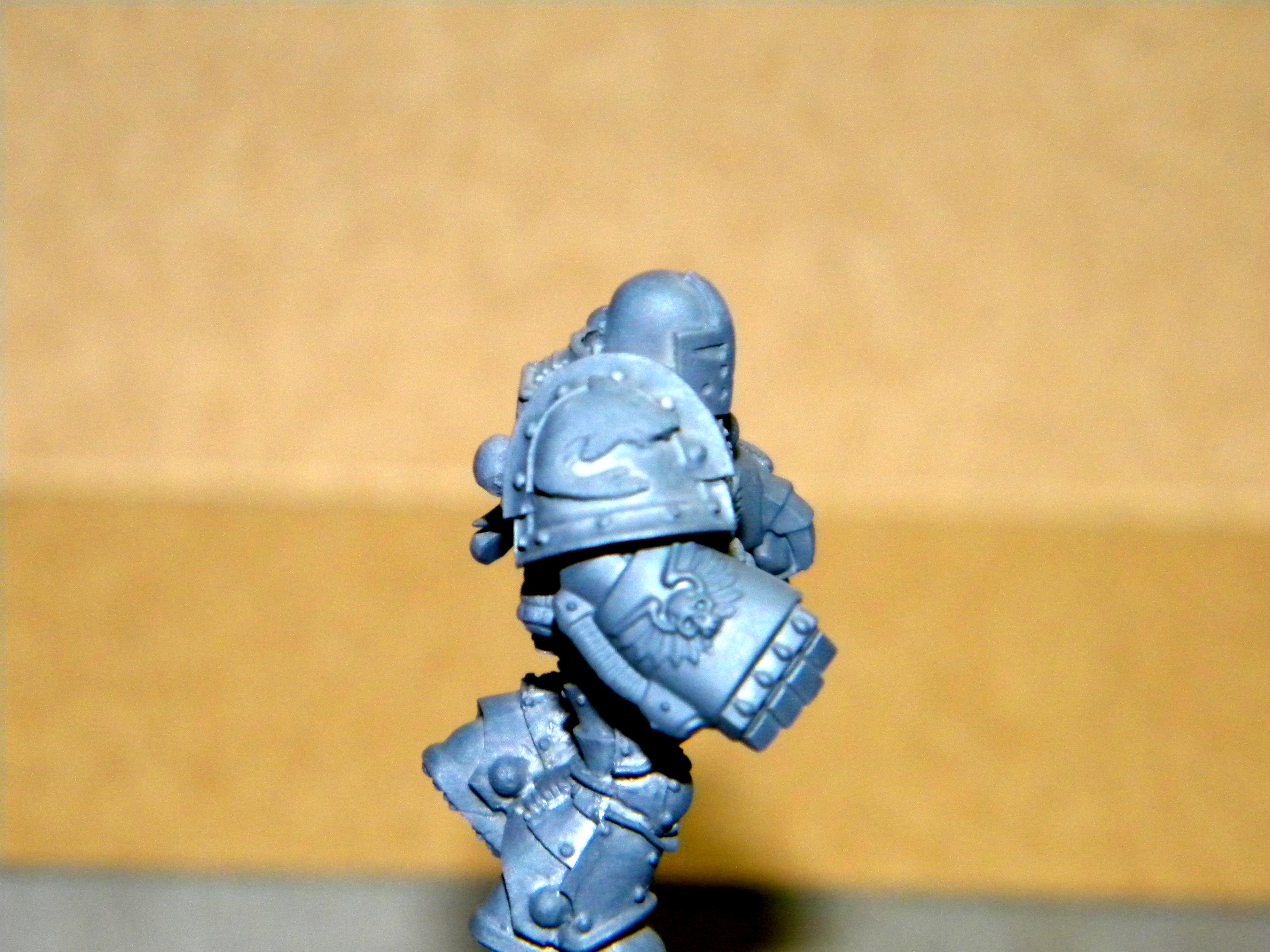 Carcharodons, Space Marines