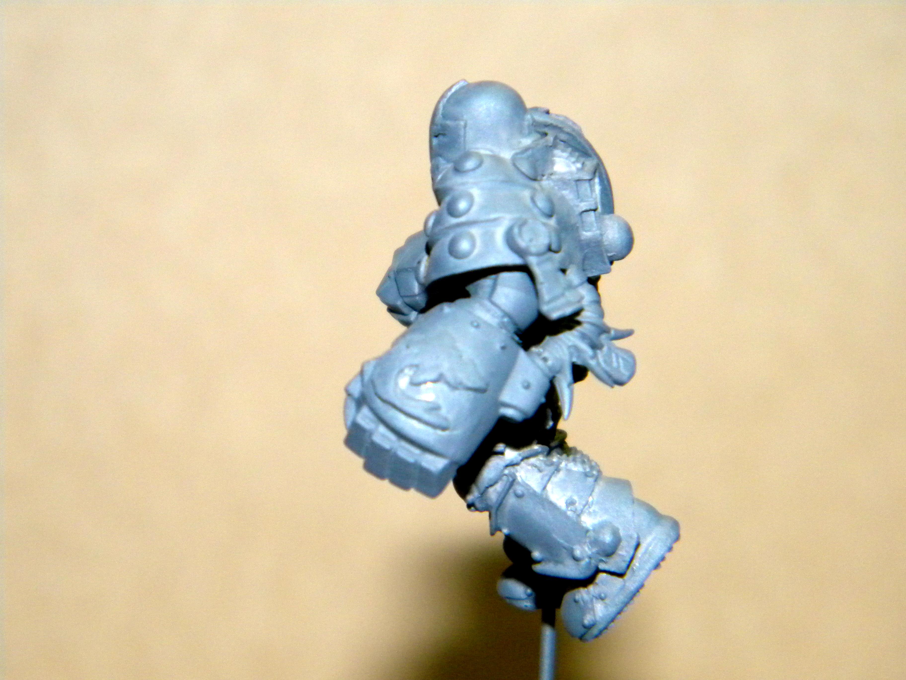 Carcharodons, Space Marines