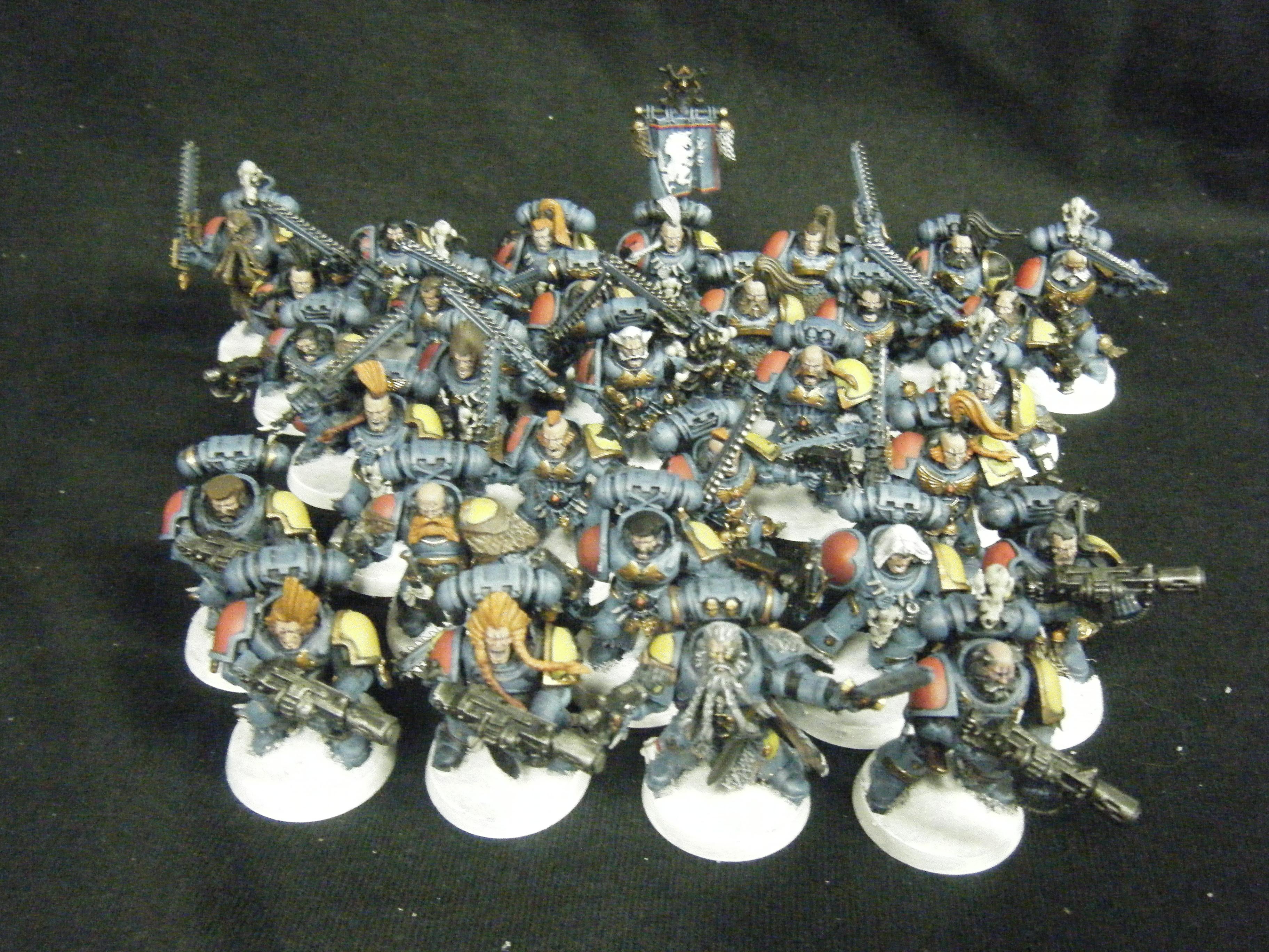 Space Wolves Grey Hunter Group