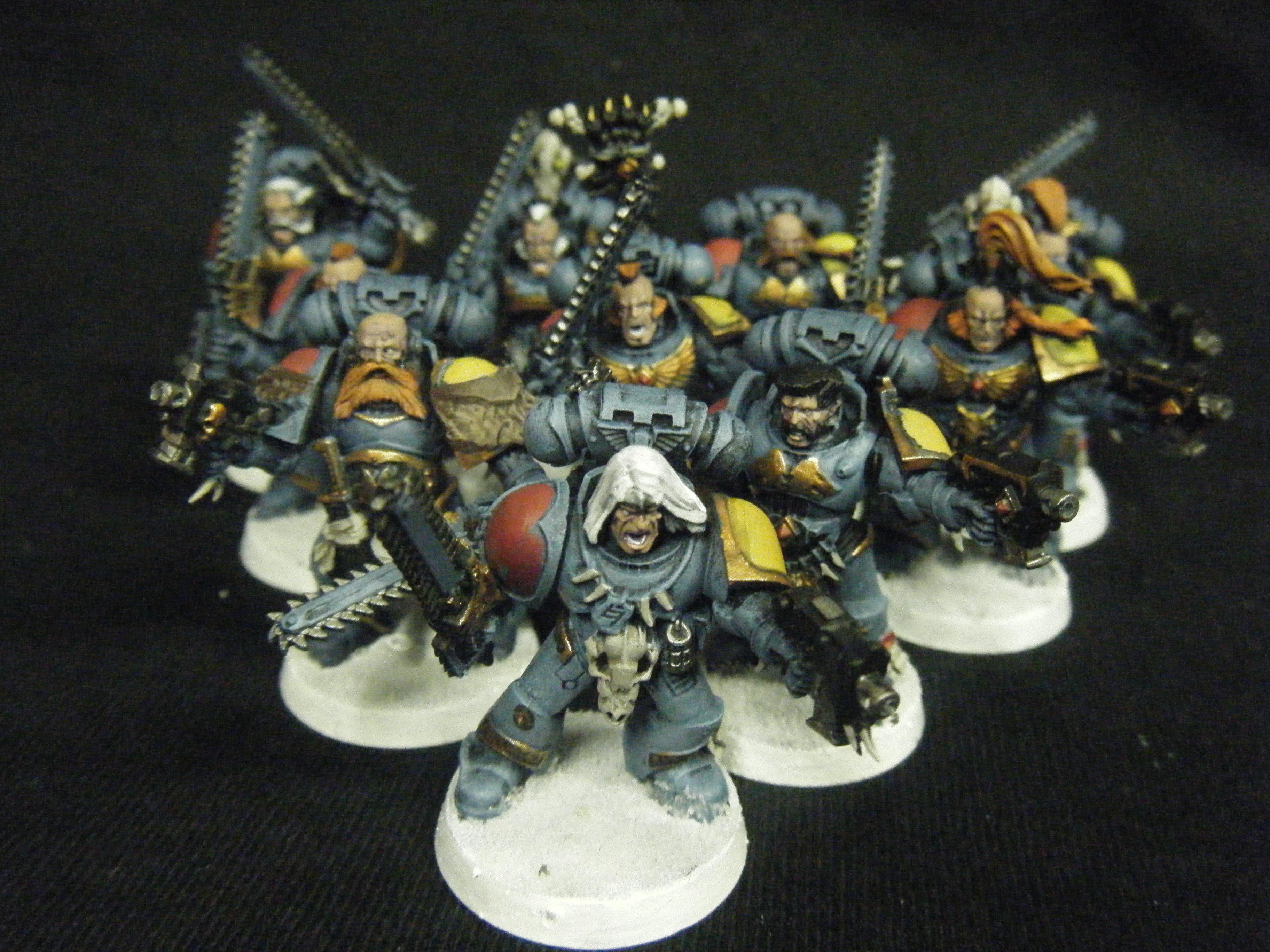 Space Wolves Grey Hunters (2)