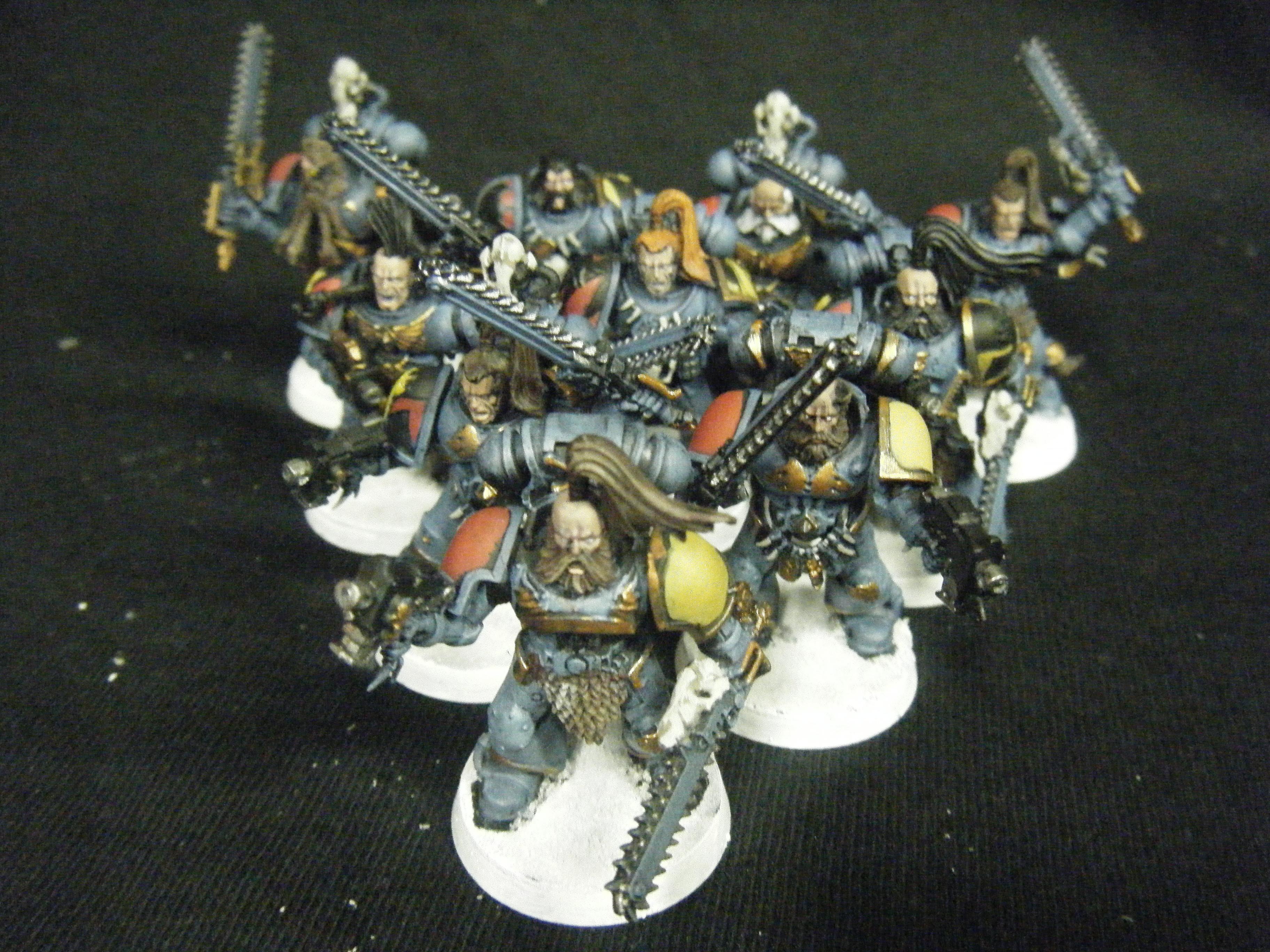 Space Wolves Grey Hunters (3)