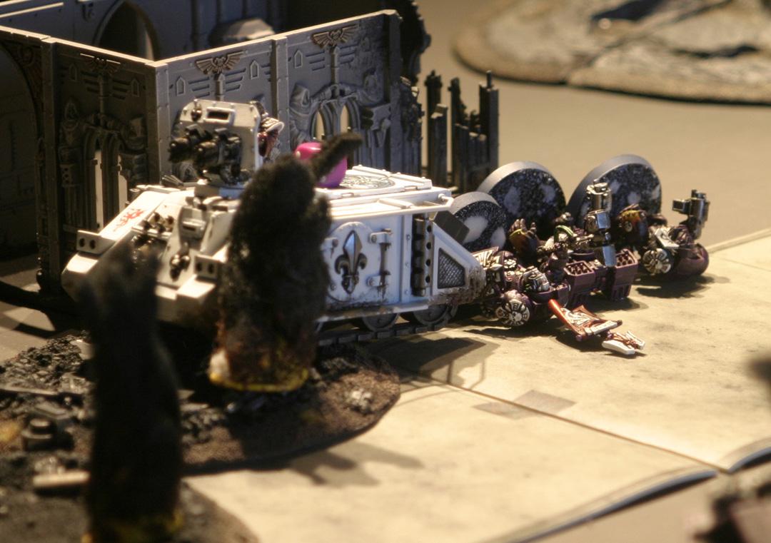 Death Or Glory, Immolator