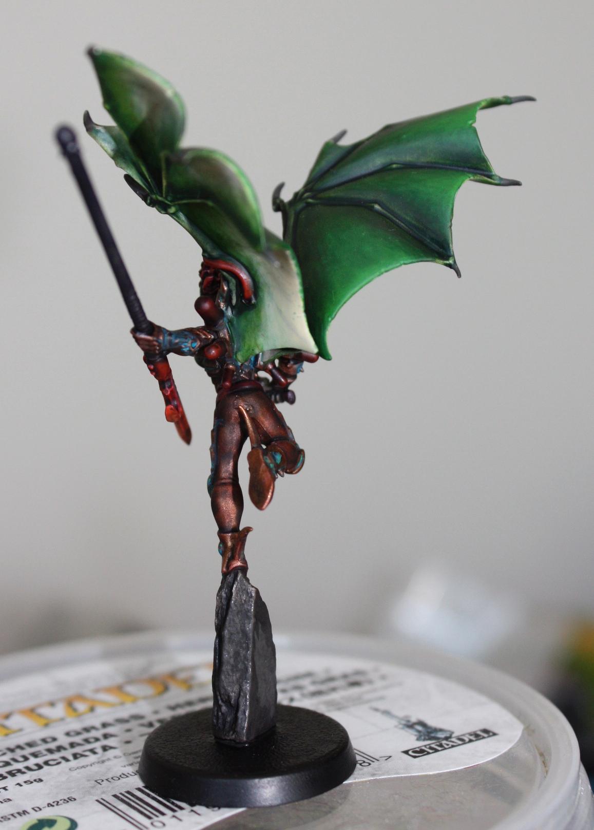 Dark Eldar, Scourge