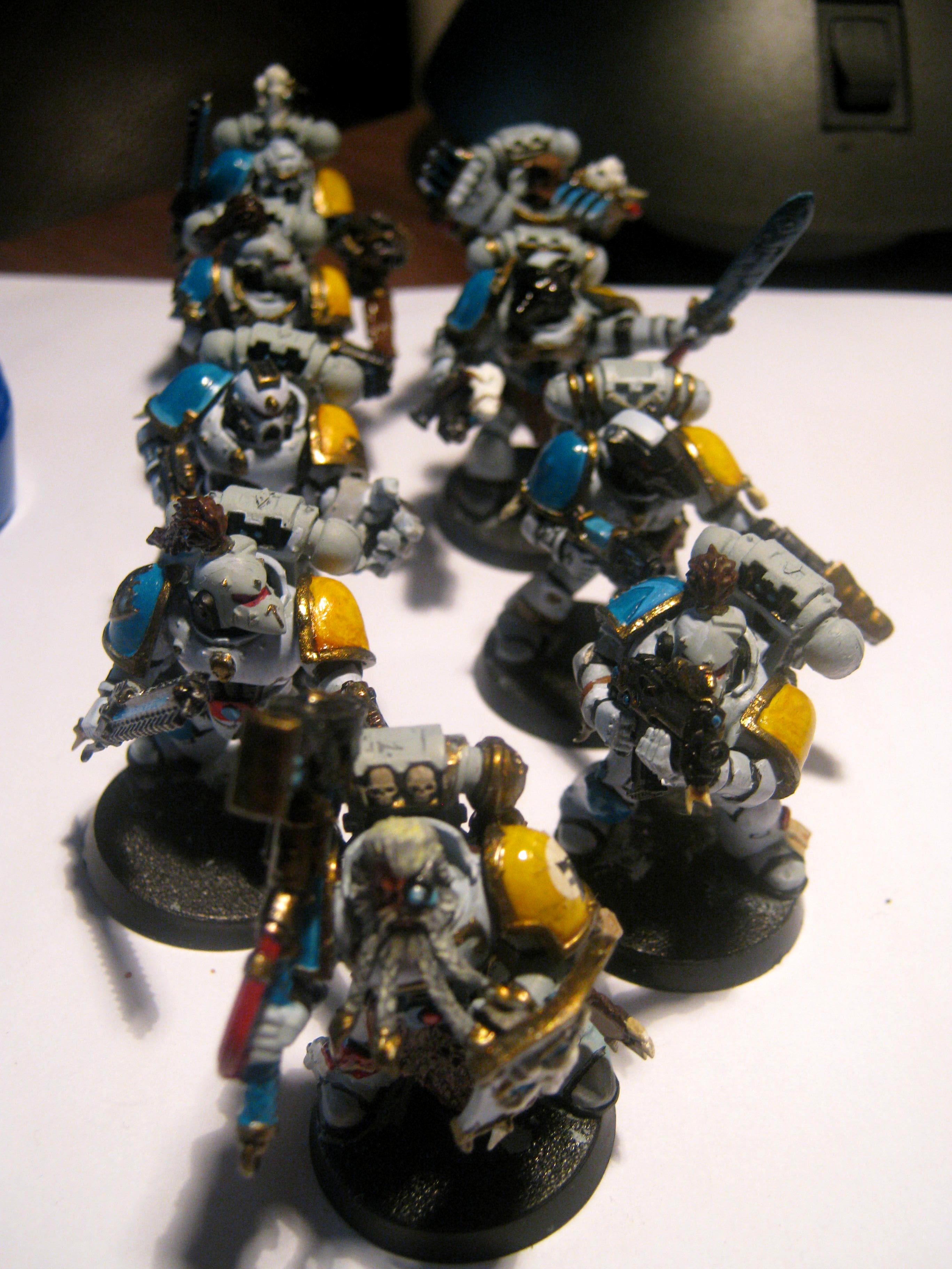 space wolves