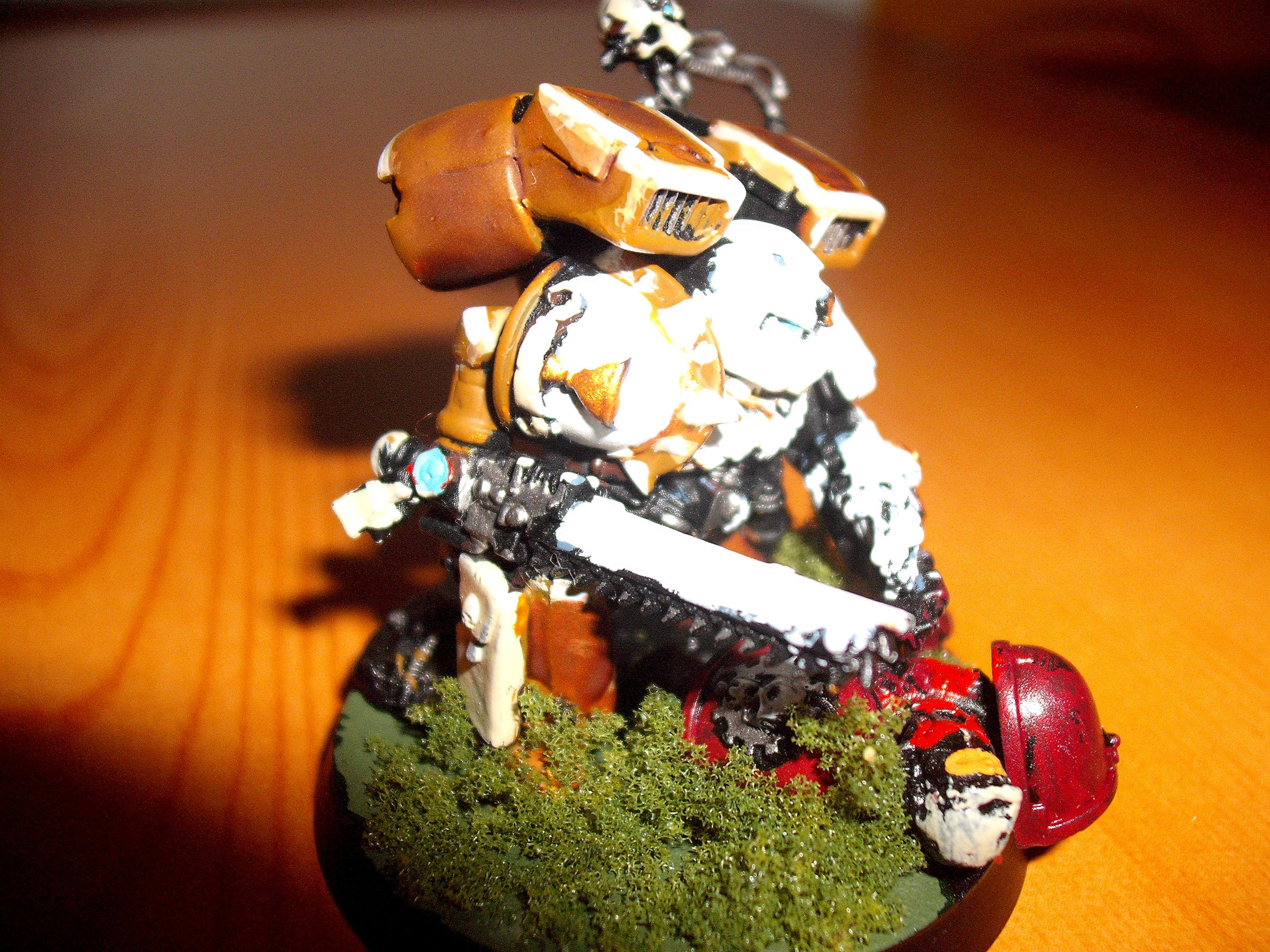 Apothecary, Blood Angels, Honour Guard, Sanguinary Priest, Veteran