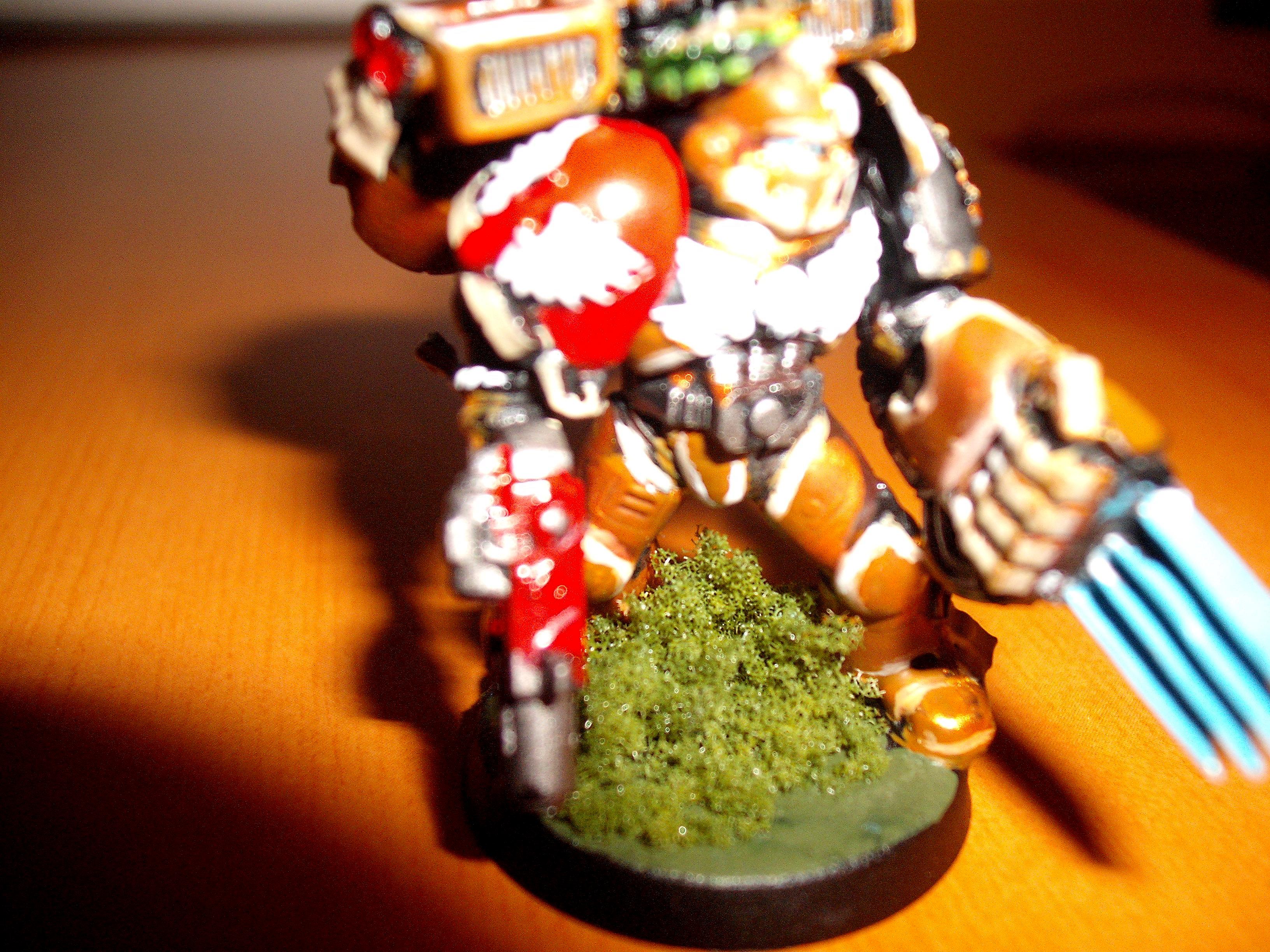 Blood Angels, Honour Guard, Veteran