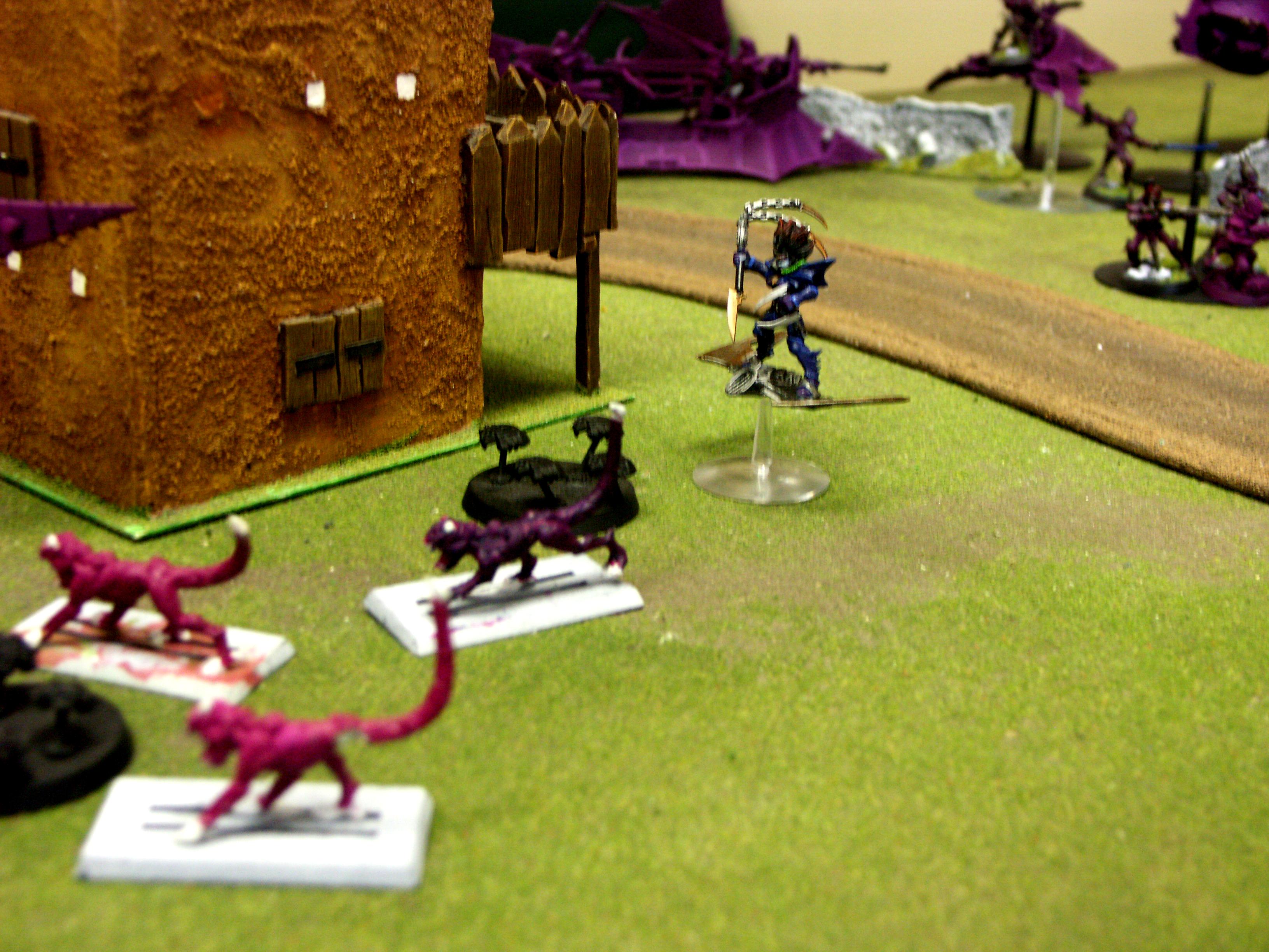 Battle Report, Dark, De, Eldar