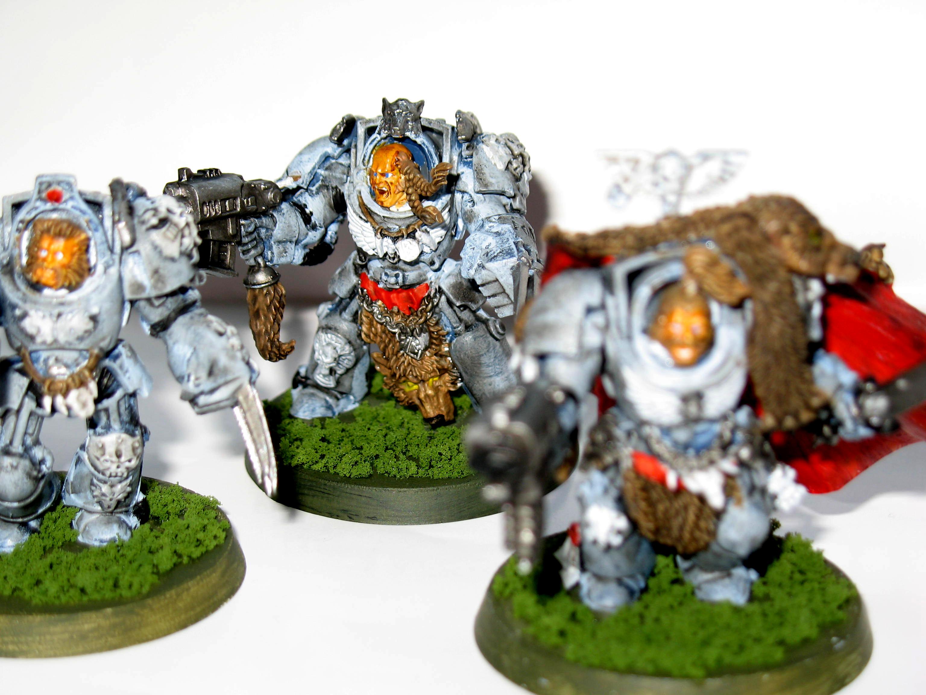 Space Marines, Space Wolves, Space Wolves Terminator