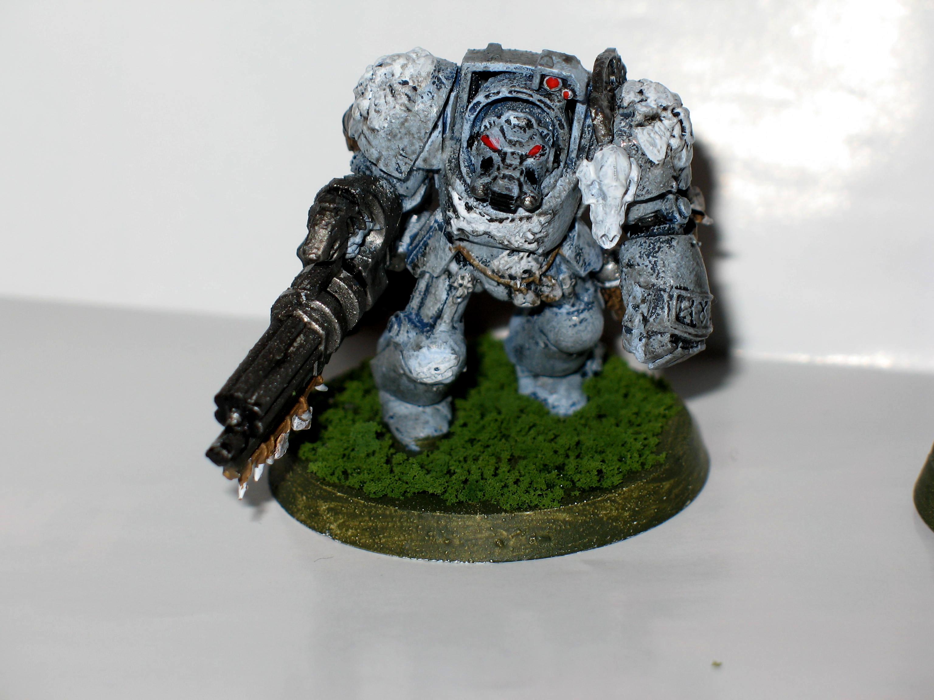 Space Marines, Space Wolves, Space Wolves Terminator