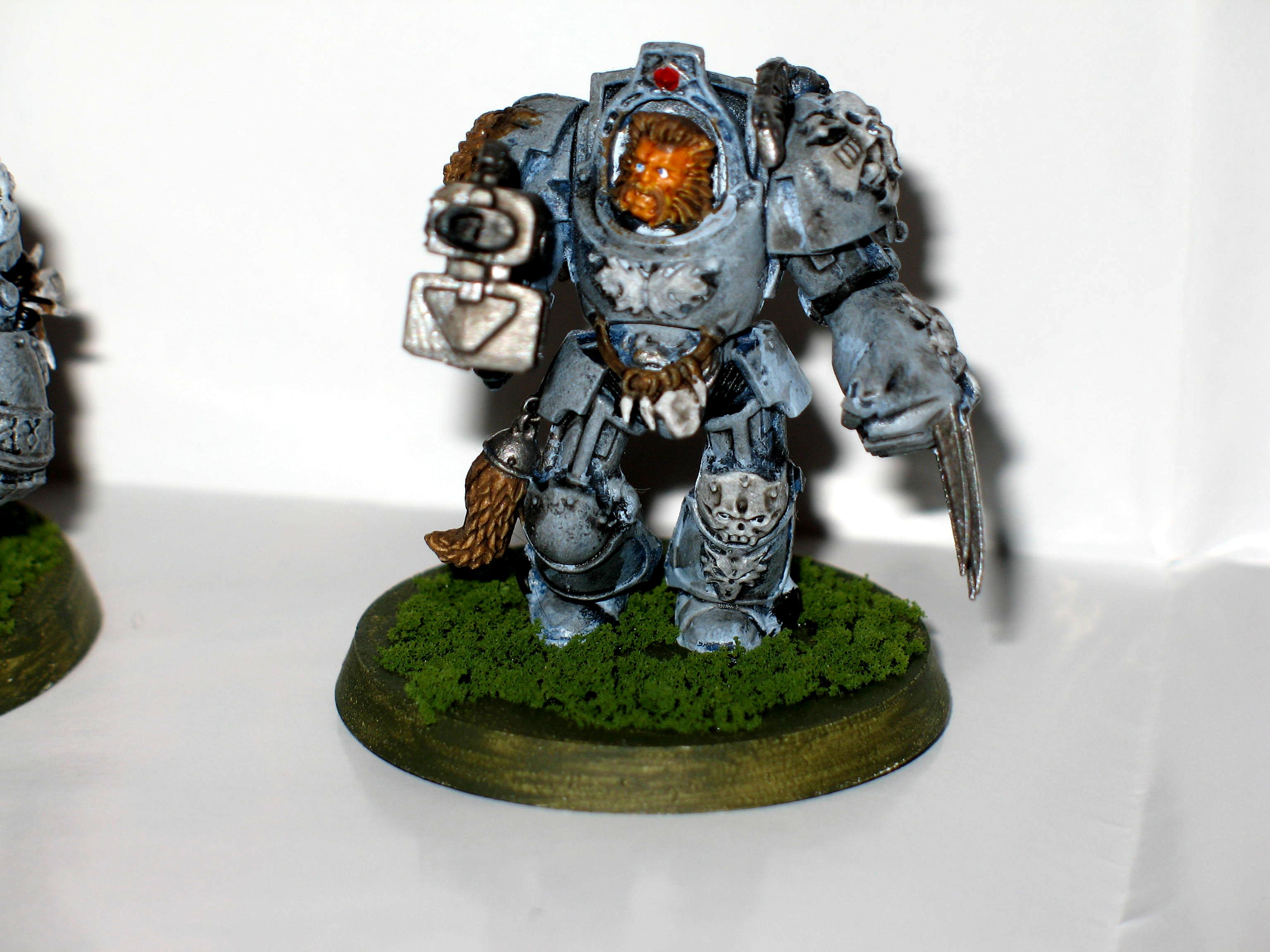 Space Marines, Space Wolves, Space Wolves Terminator