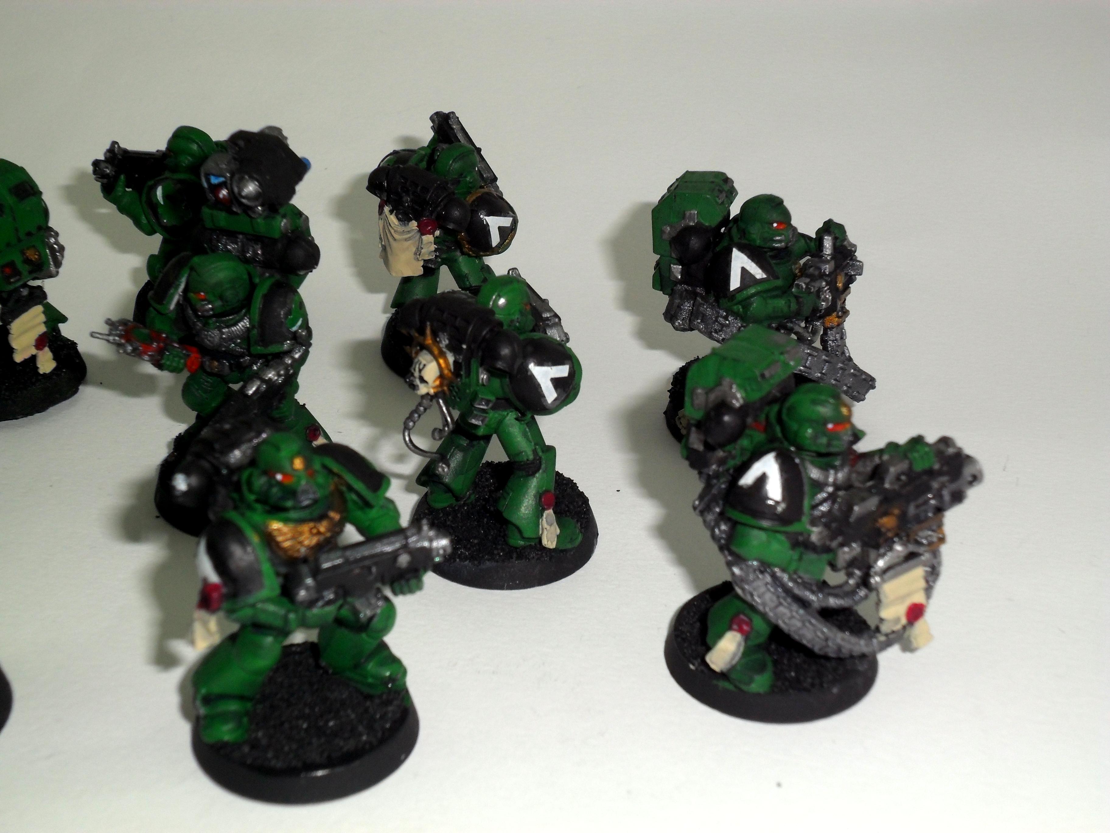Salamanders, Dev 01 05