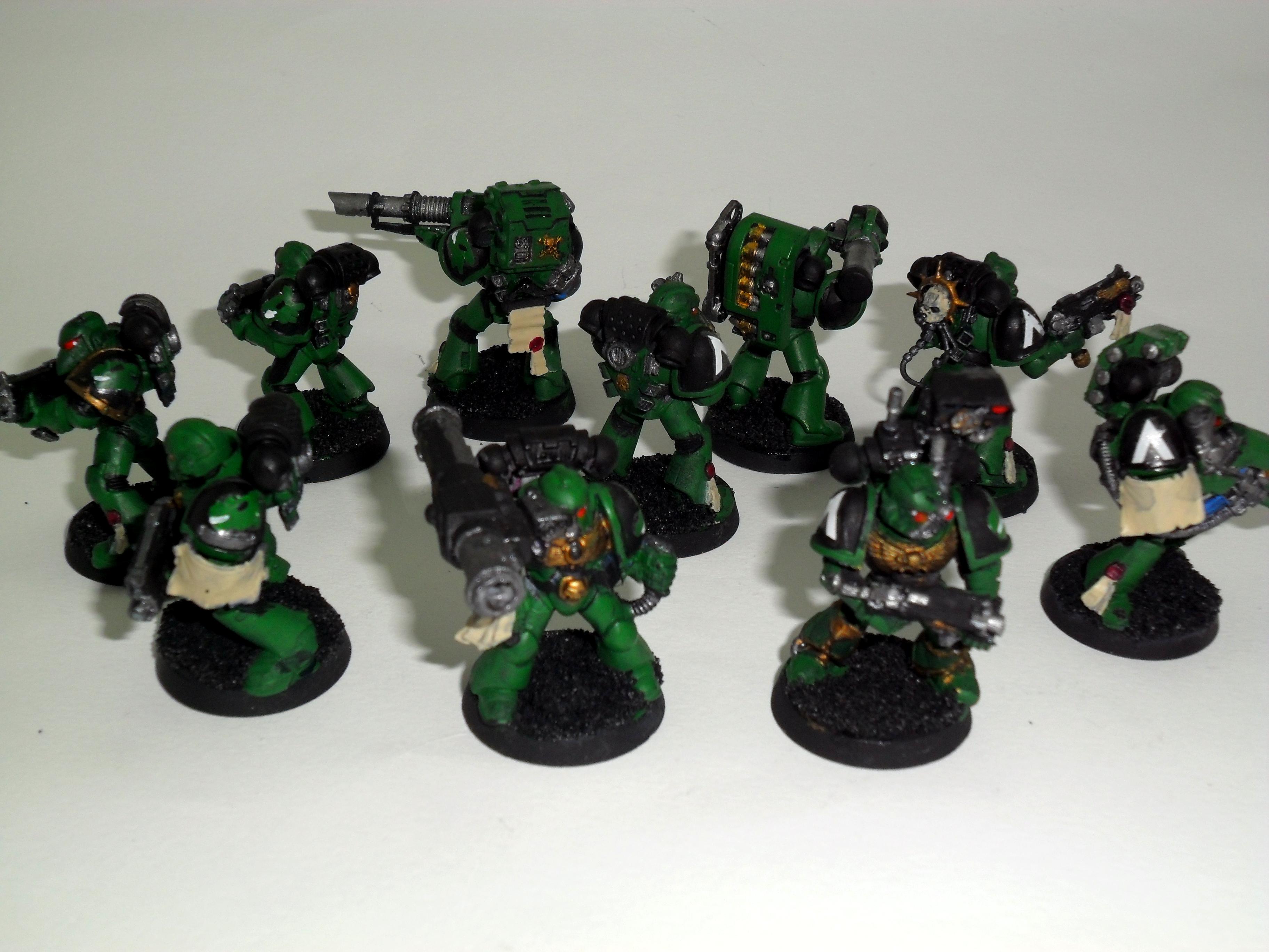 Salamanders, Dev 02 04