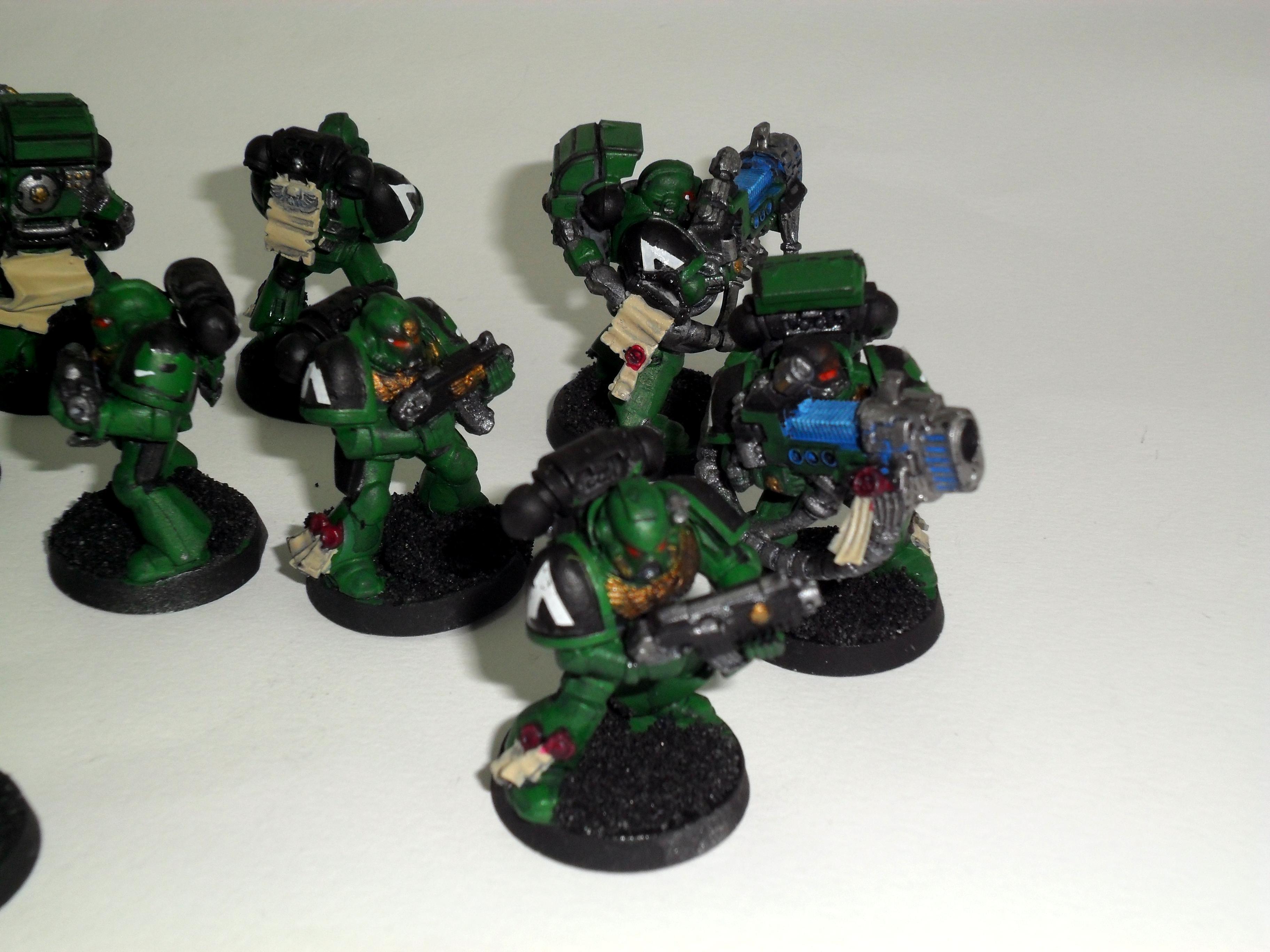 Salamanders, Dev 03 05