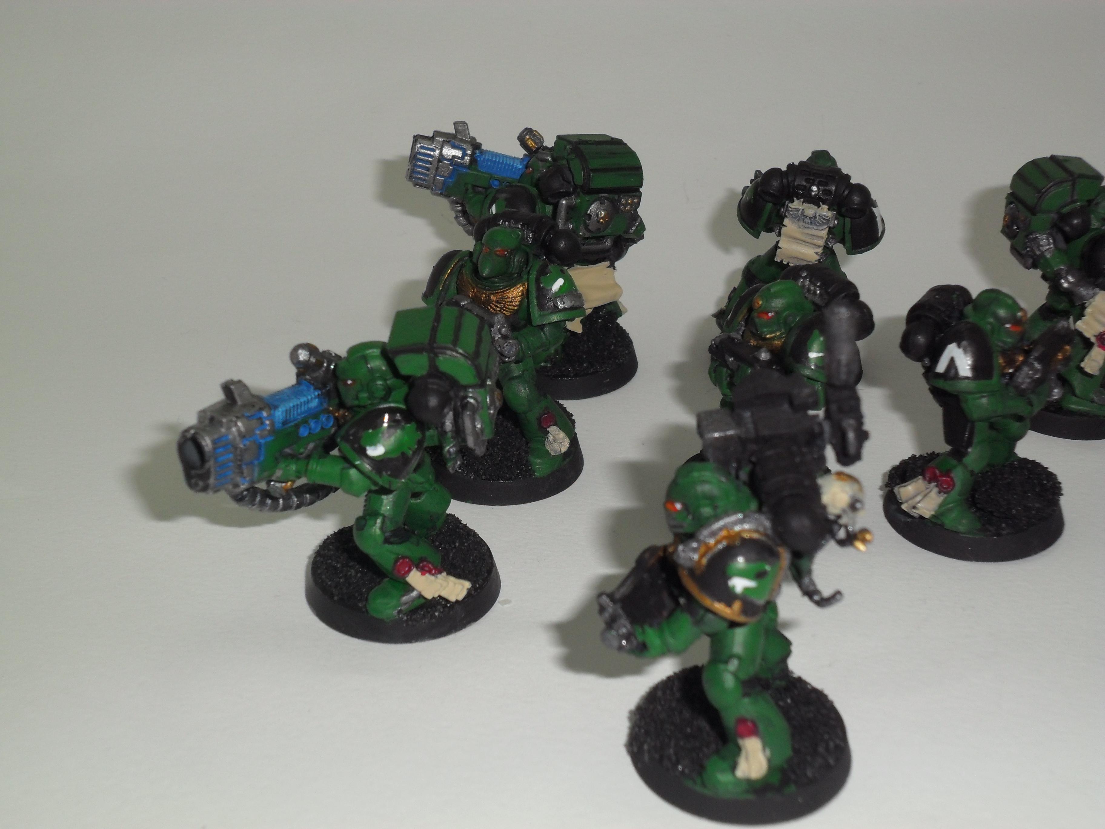 Salamanders, Dev 03 06
