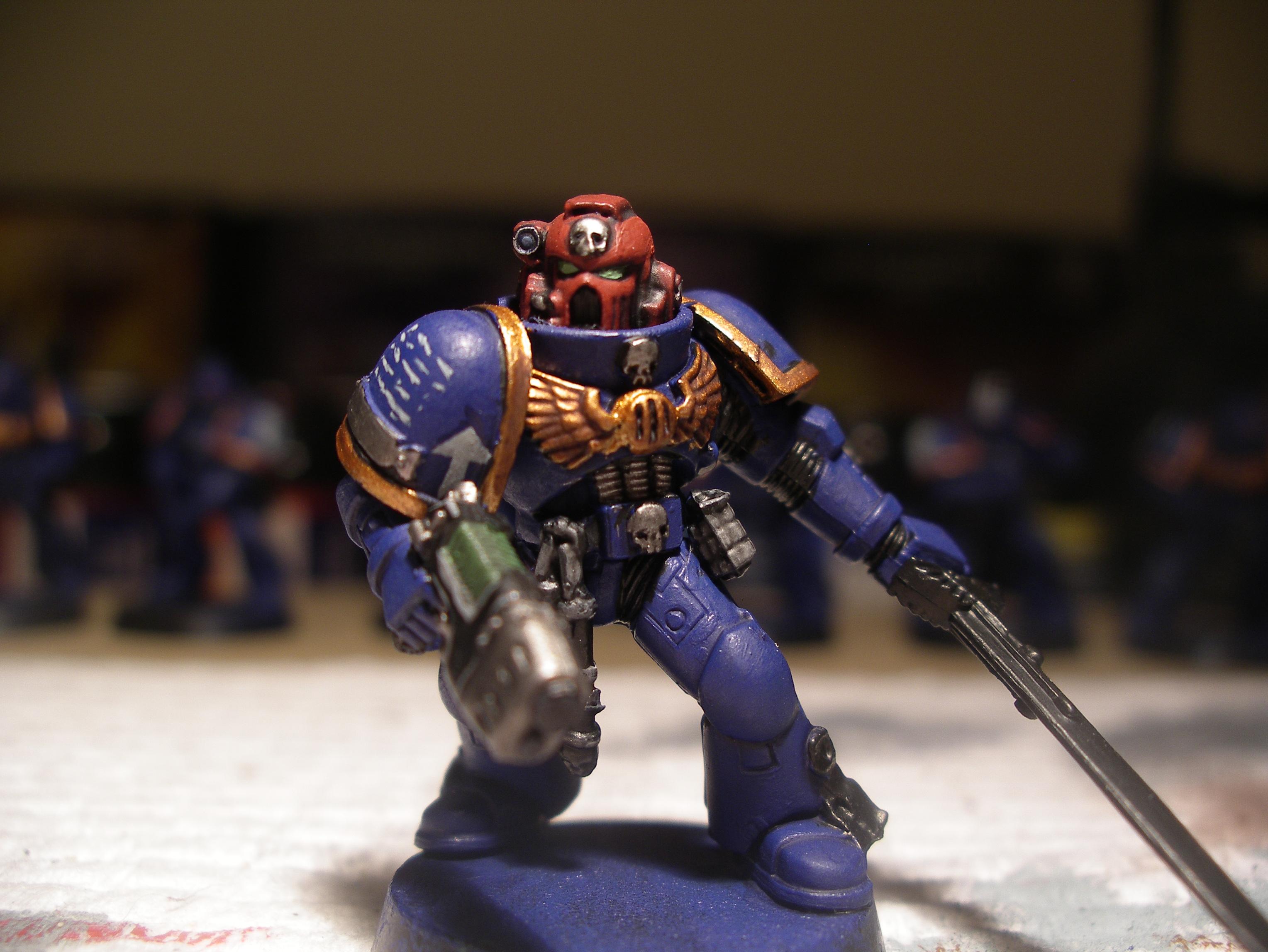 vet sgt work