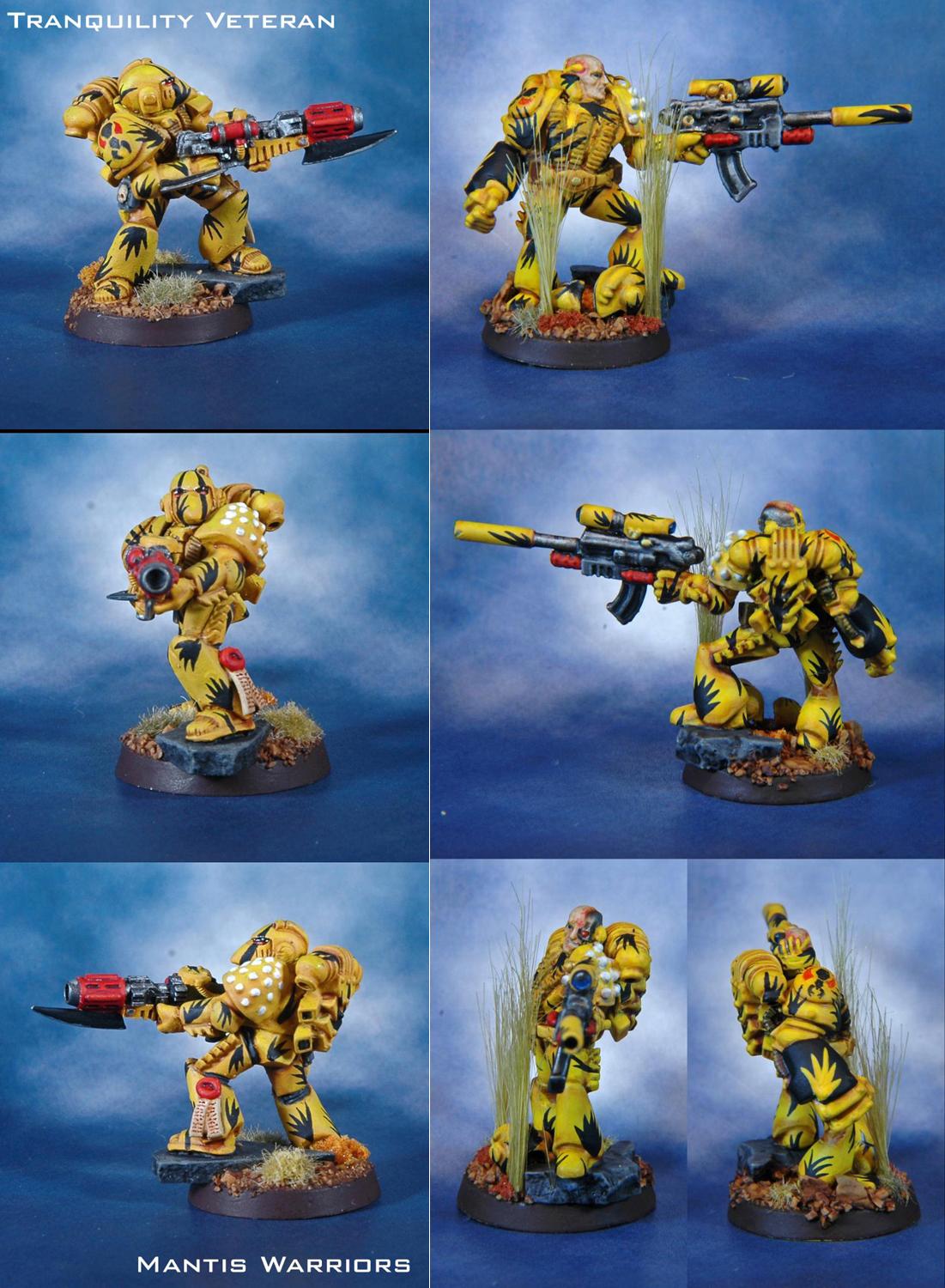 Airbrush, Camouflage, Mantis Warriors, Space Marines, Tranquility, Warhammer 40,000, Wet Blending