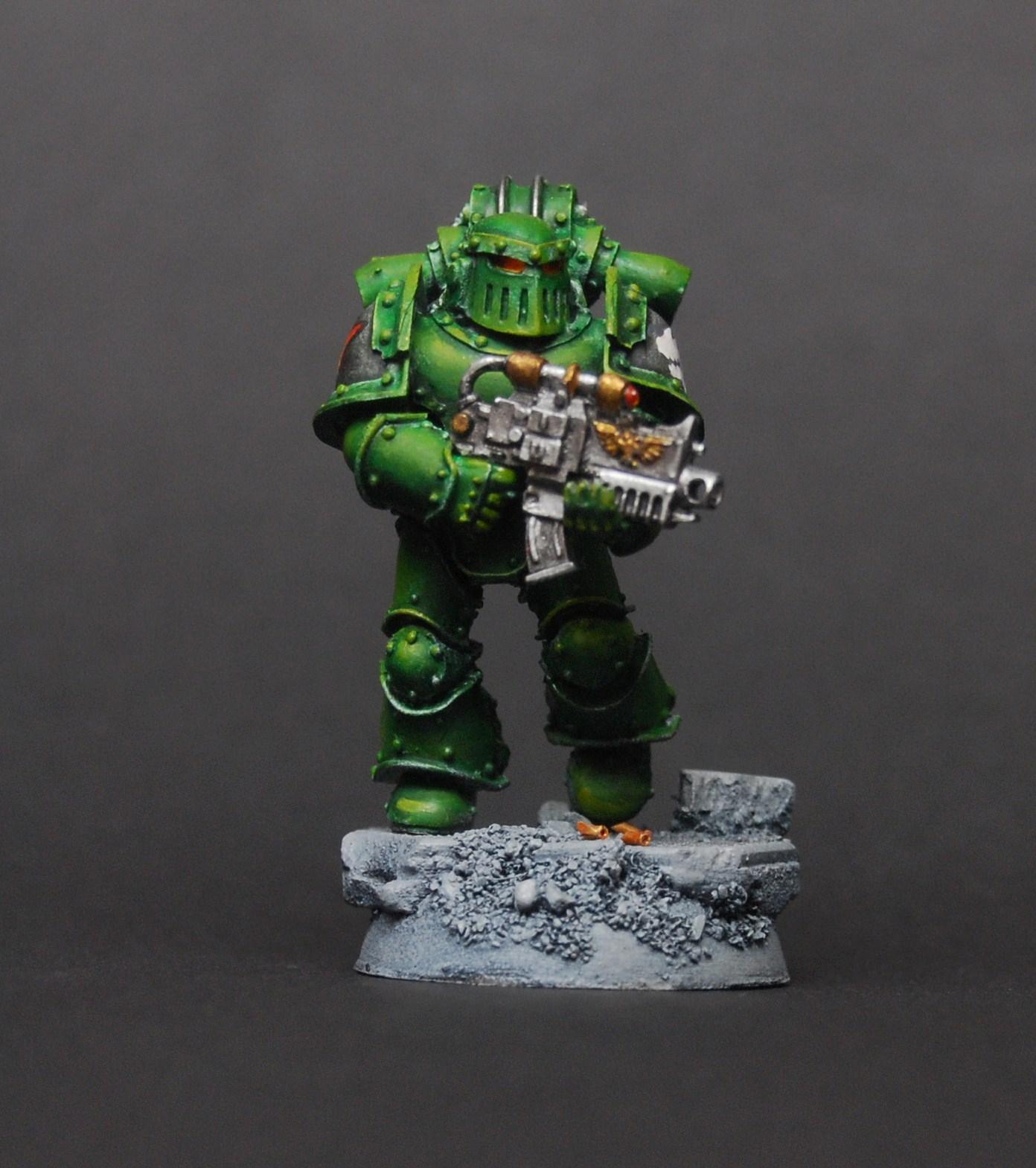 Salamander marine
