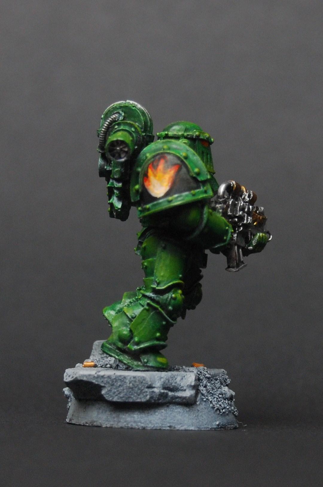 Salamander side on
