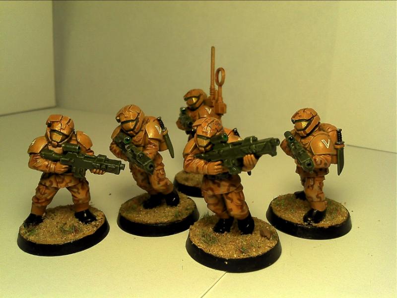 Camouflage, Conversion, Desert, Halo, Imperial Guard, Meltagun, Veteran ...