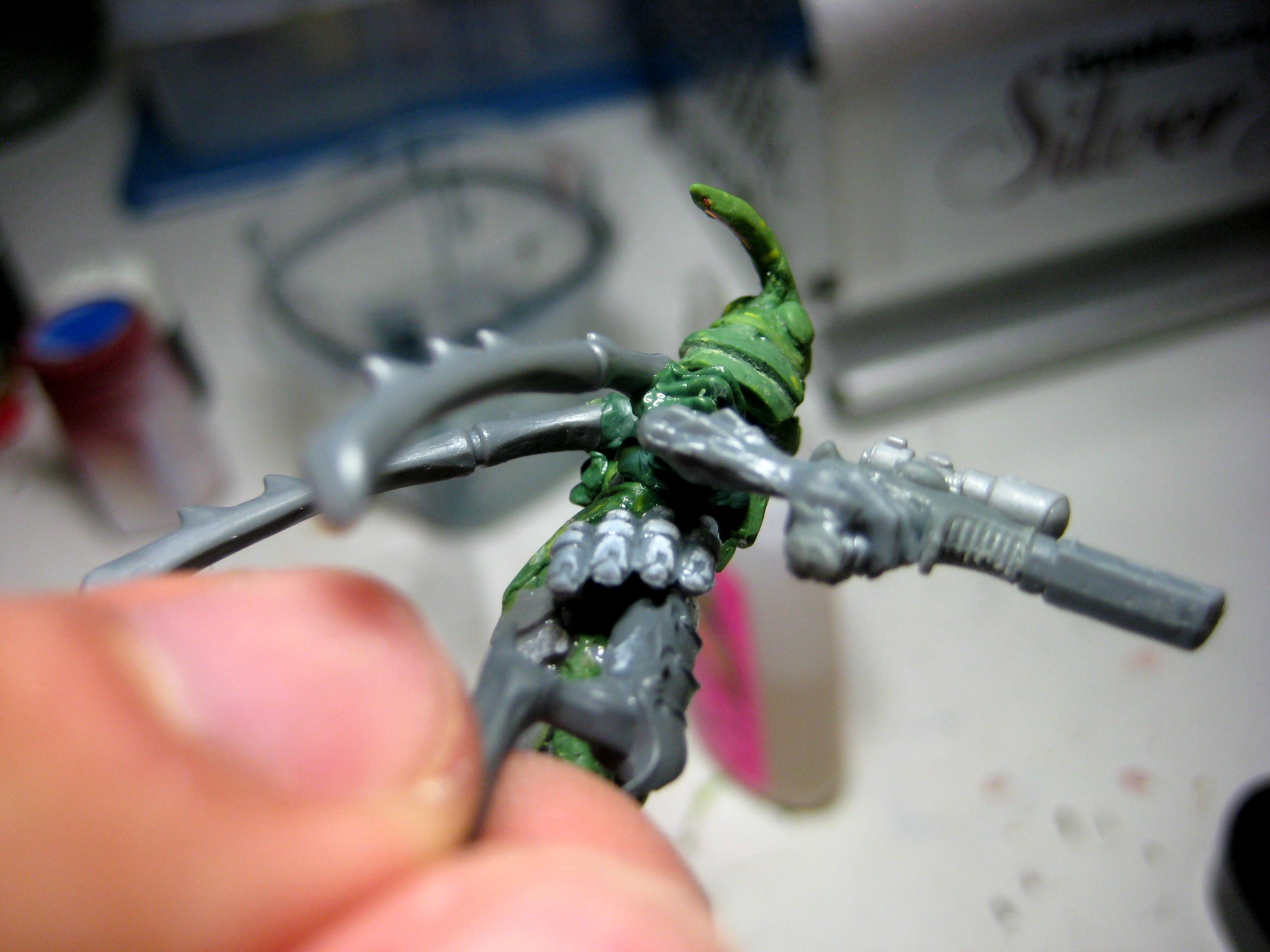 WIP 29 