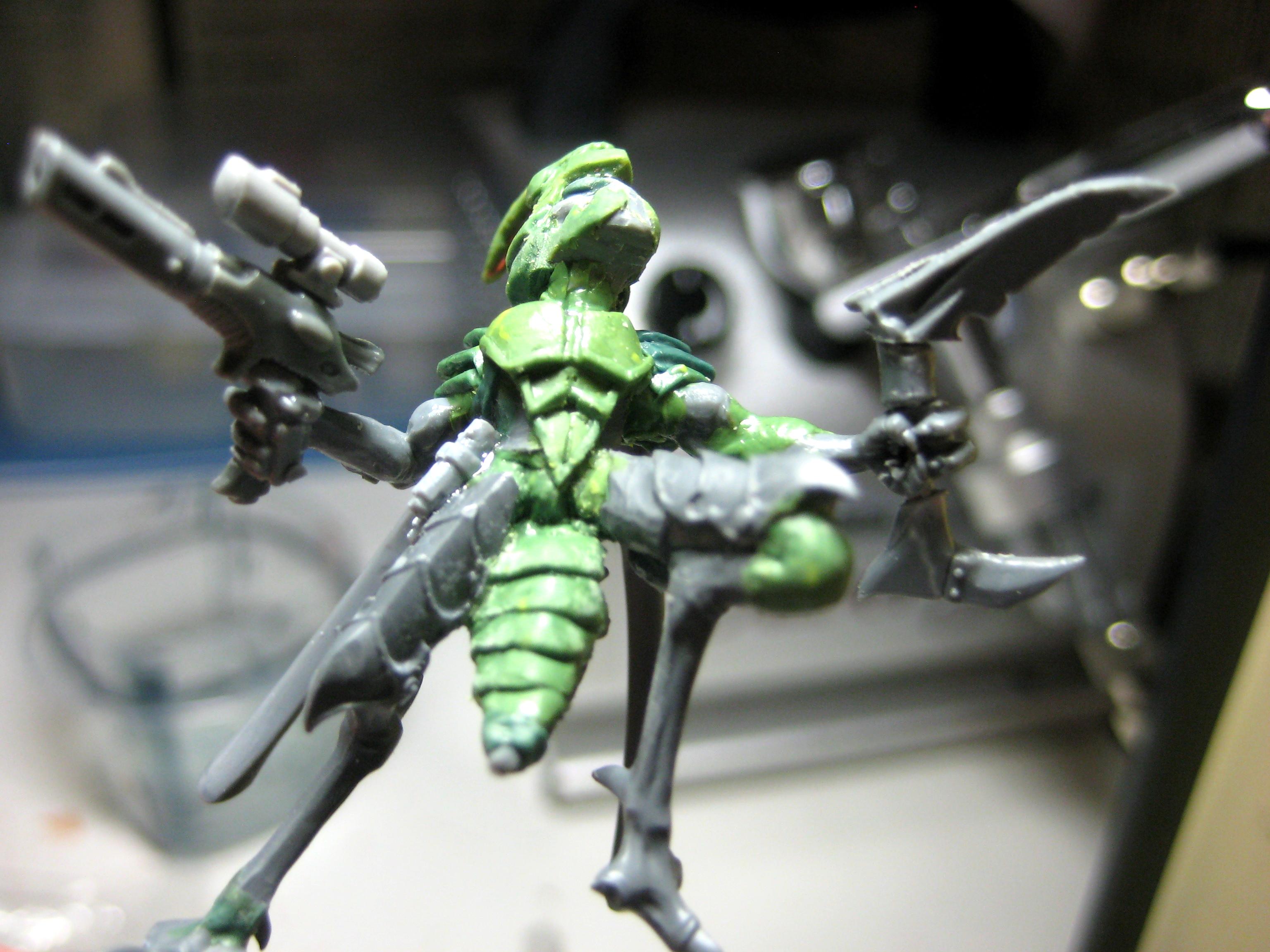 WIP 31 