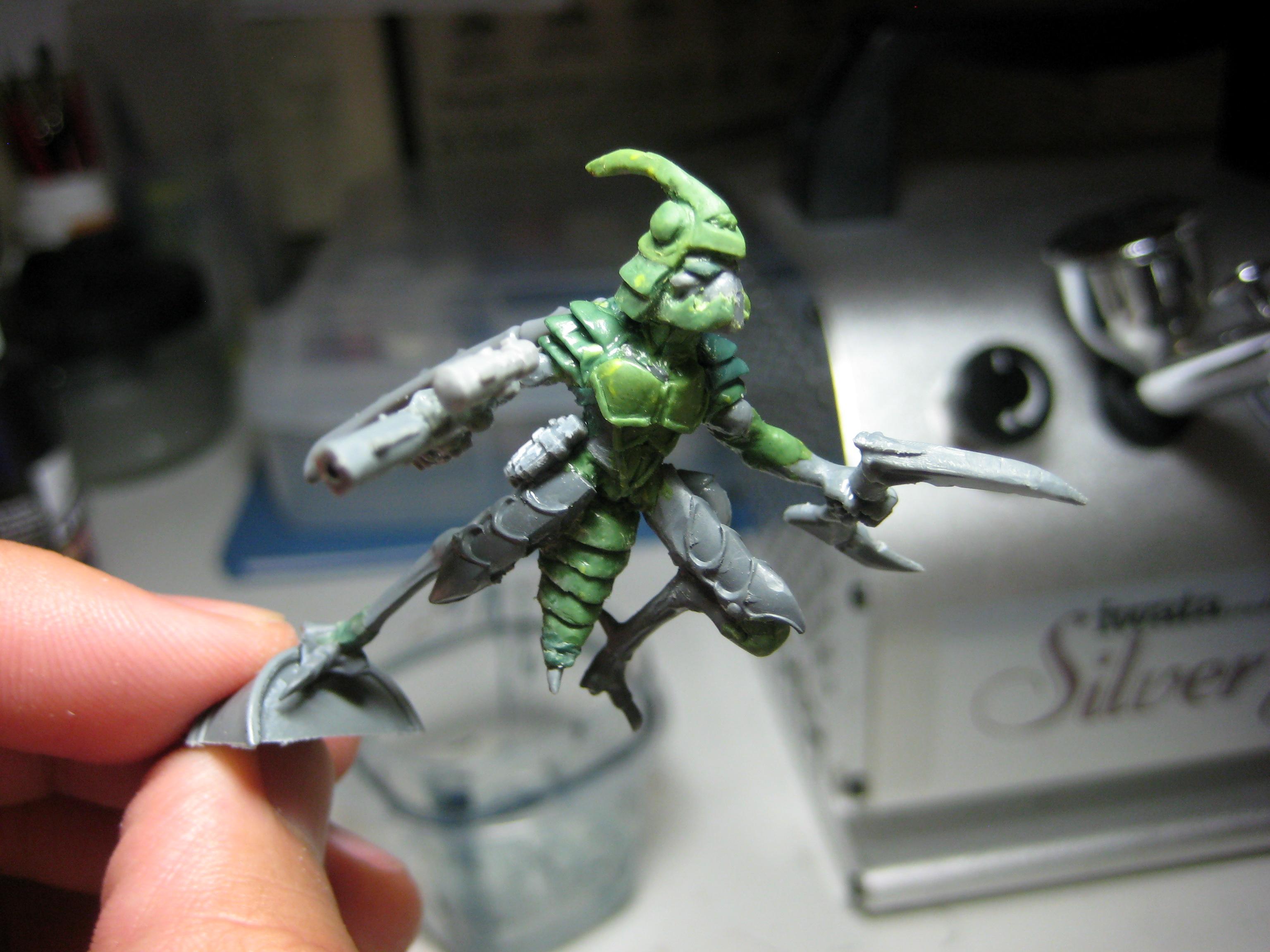 WIP 33 