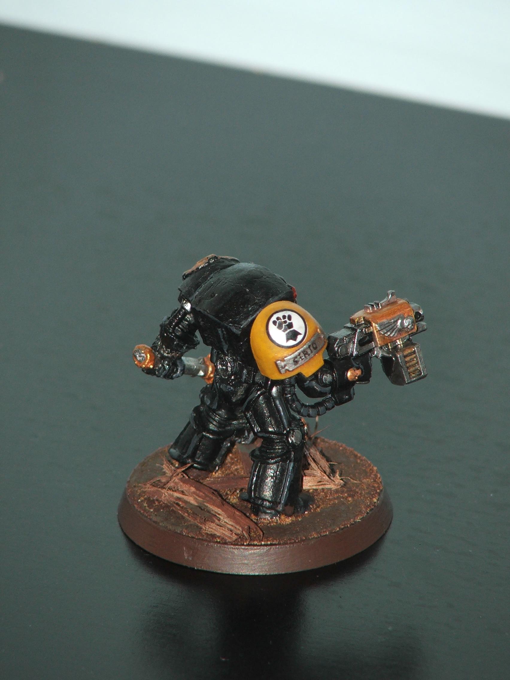 Chaplain, Crozius Arcanum, Imperial Fists, Space Marines, Storm Bolter, Terminator Armor