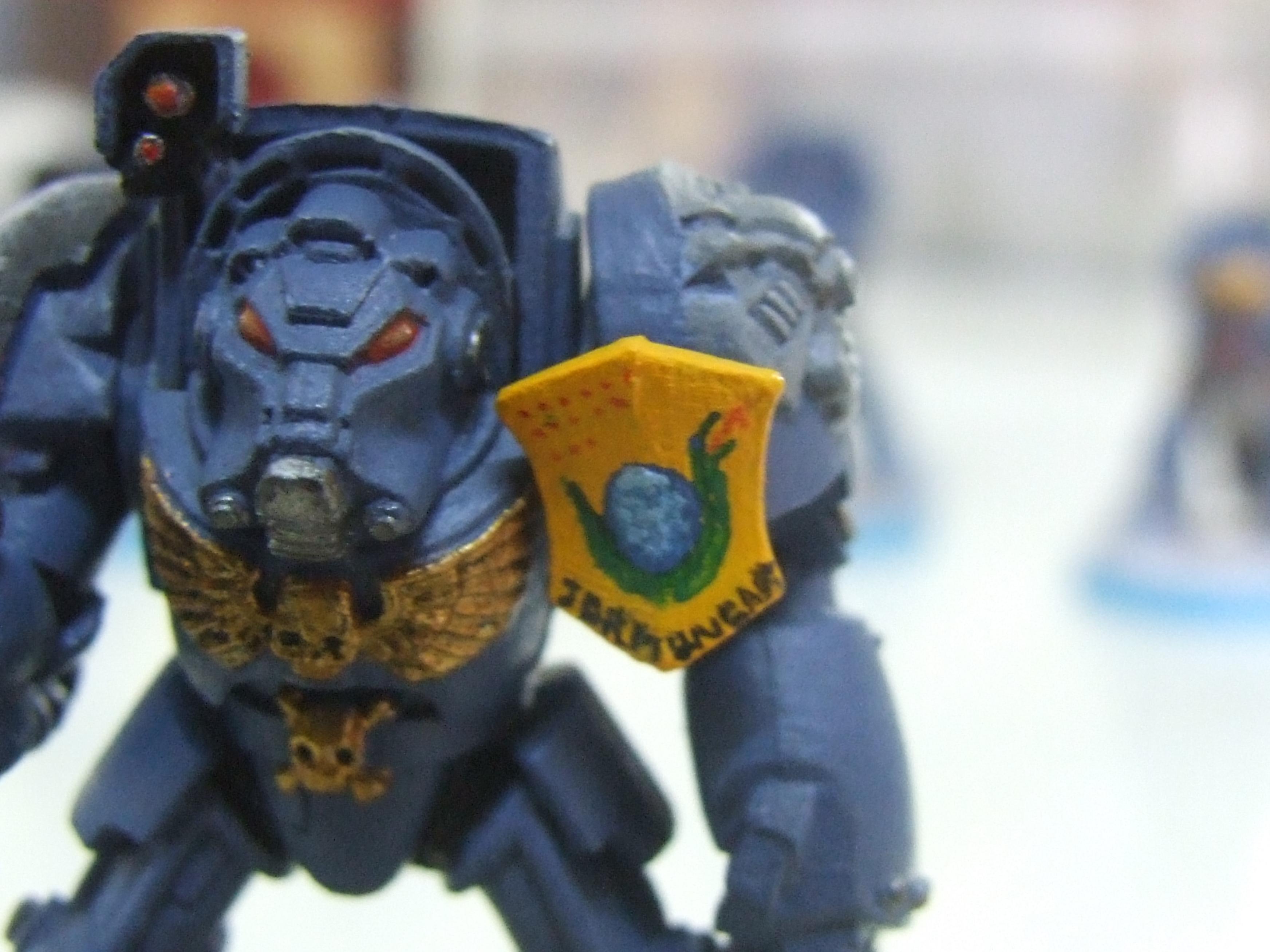 Space Marines, Space Wollf, Terminator Armor, Wolf Guard, Wolves