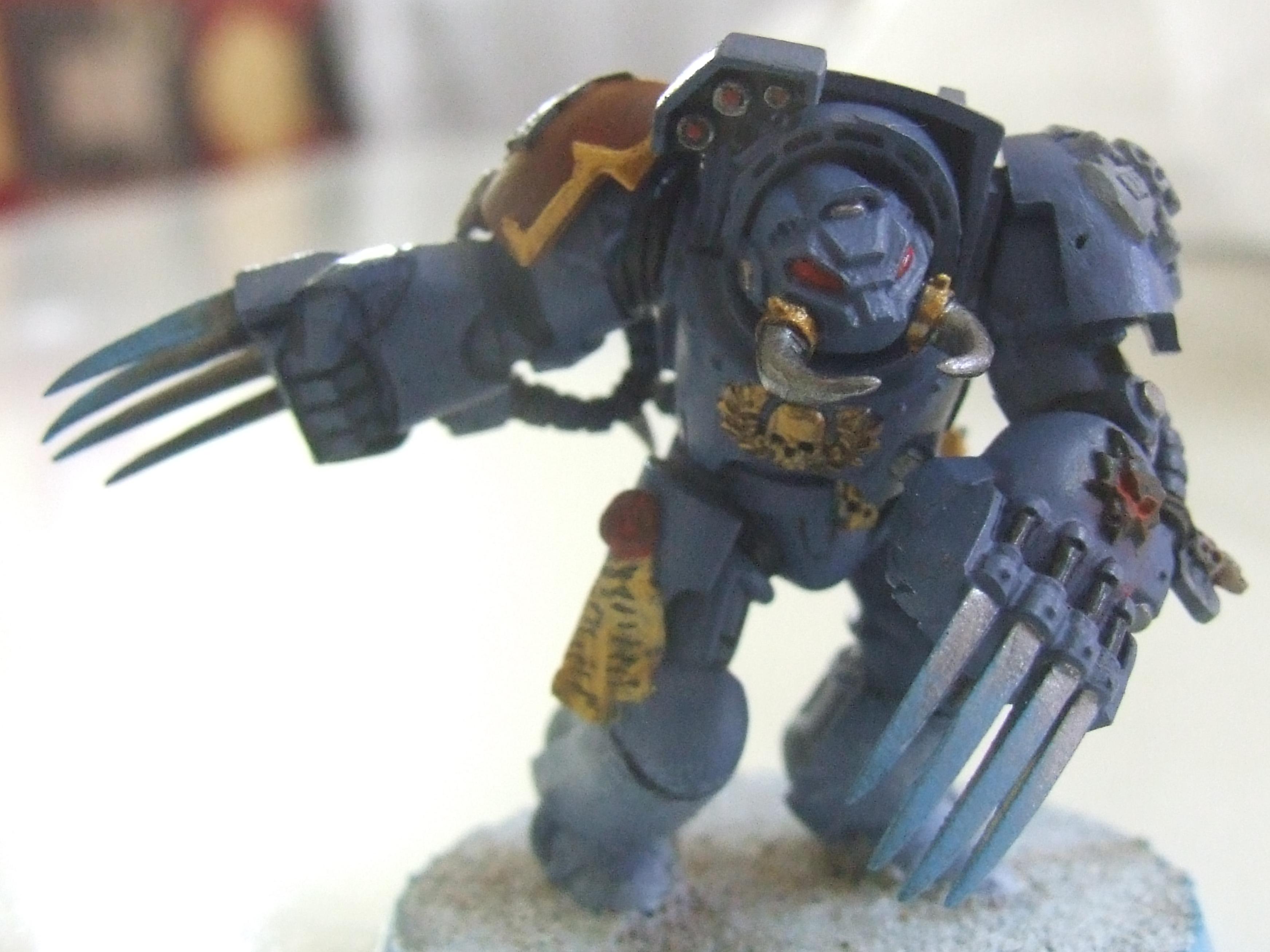 Space Marines, Space Wollf, Terminator Armor, Wolf Guard, Wolves