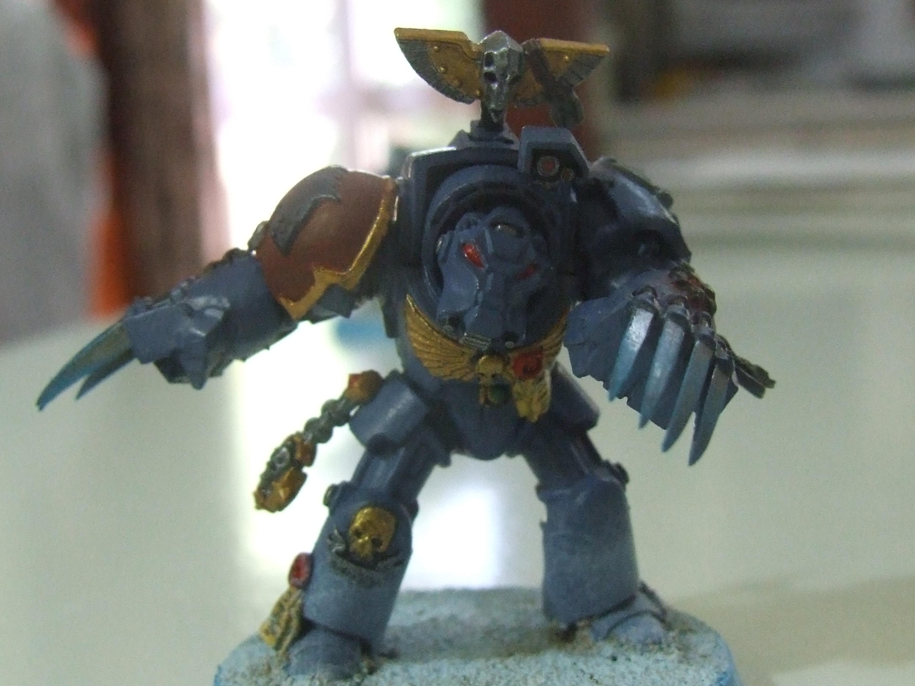 Space Marines, Space Wollf, Terminator Armor, Wolf Guard, Wolves