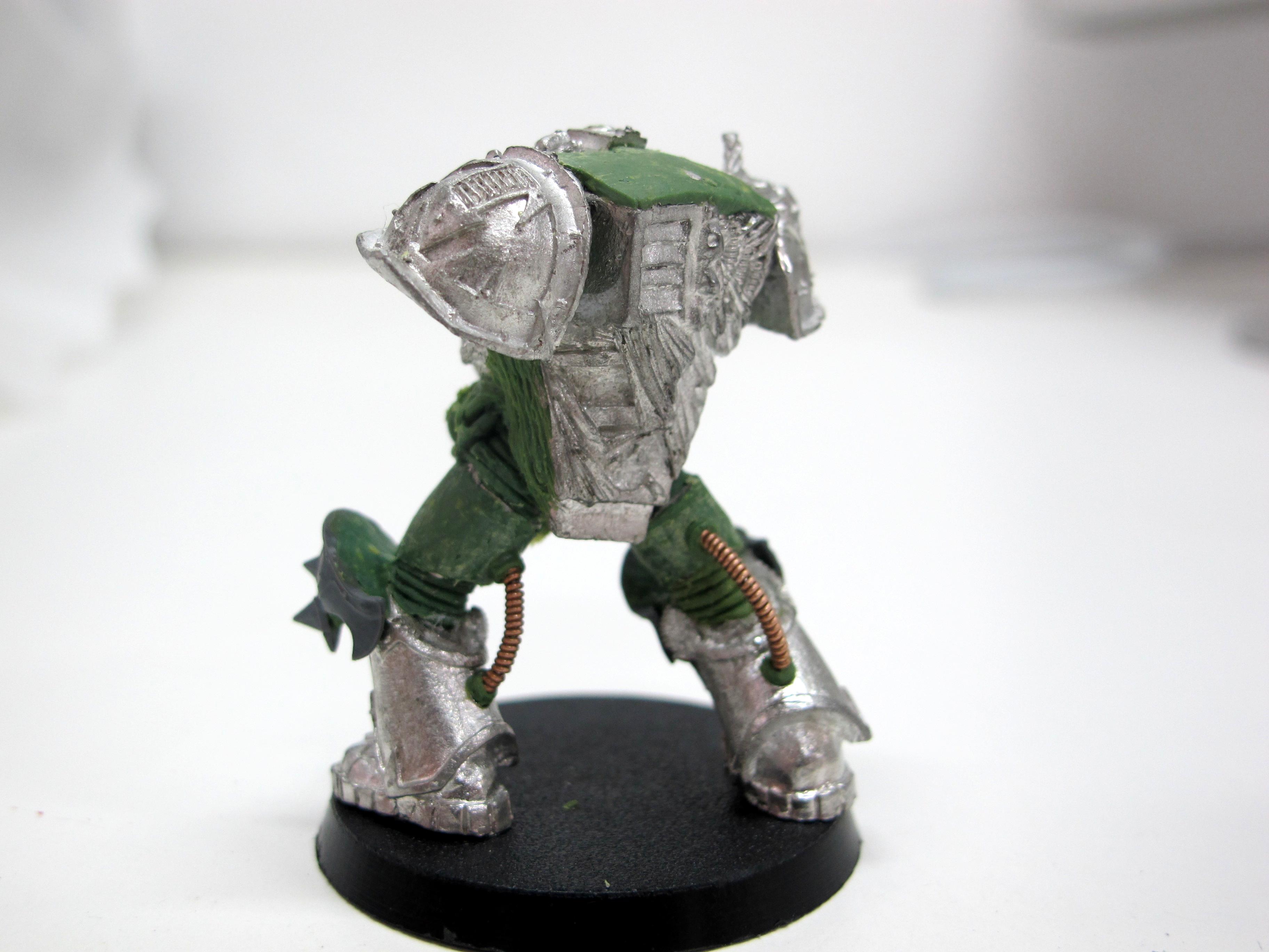 Termi 5 wip back