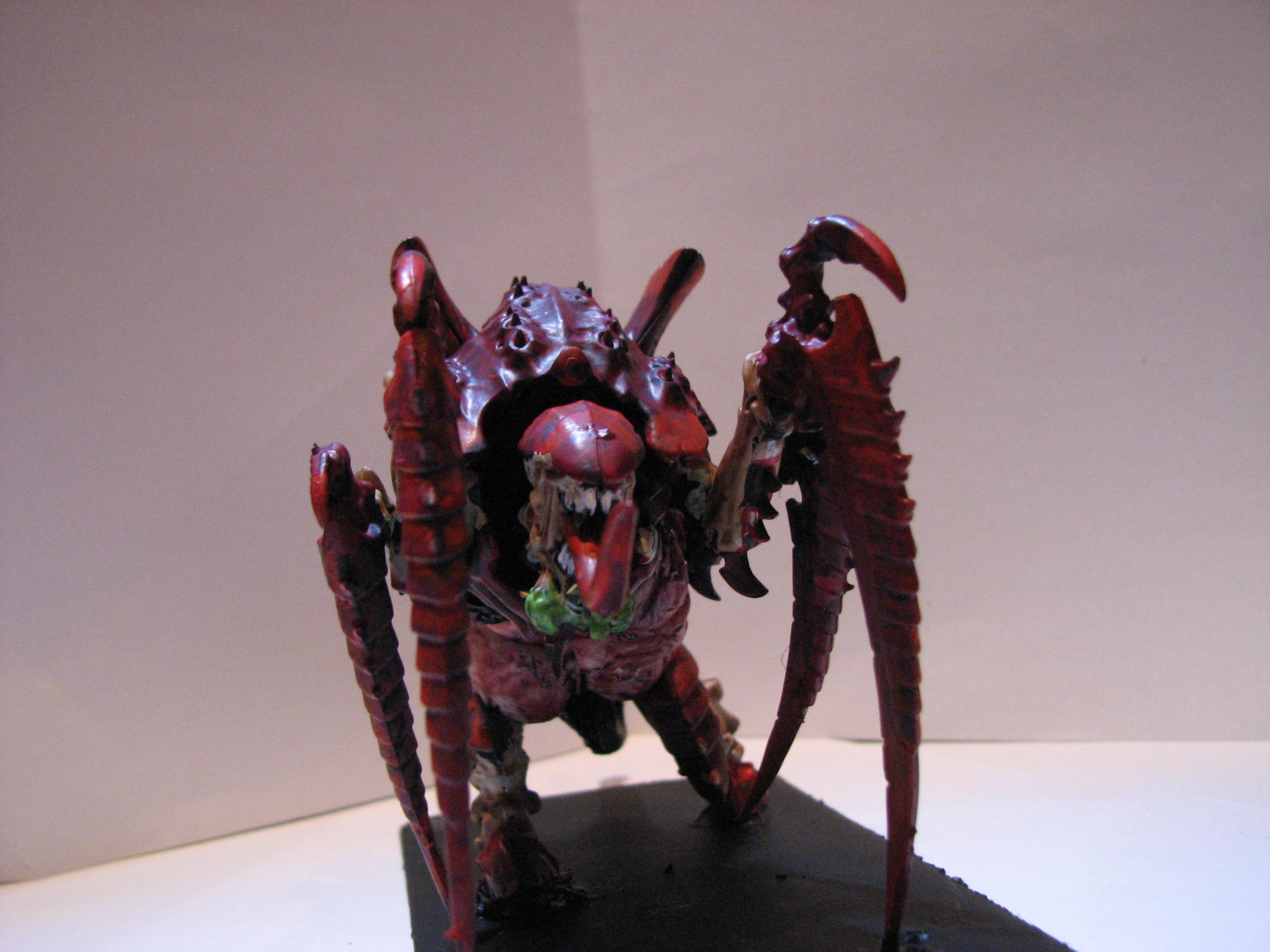 Tervigon 1
