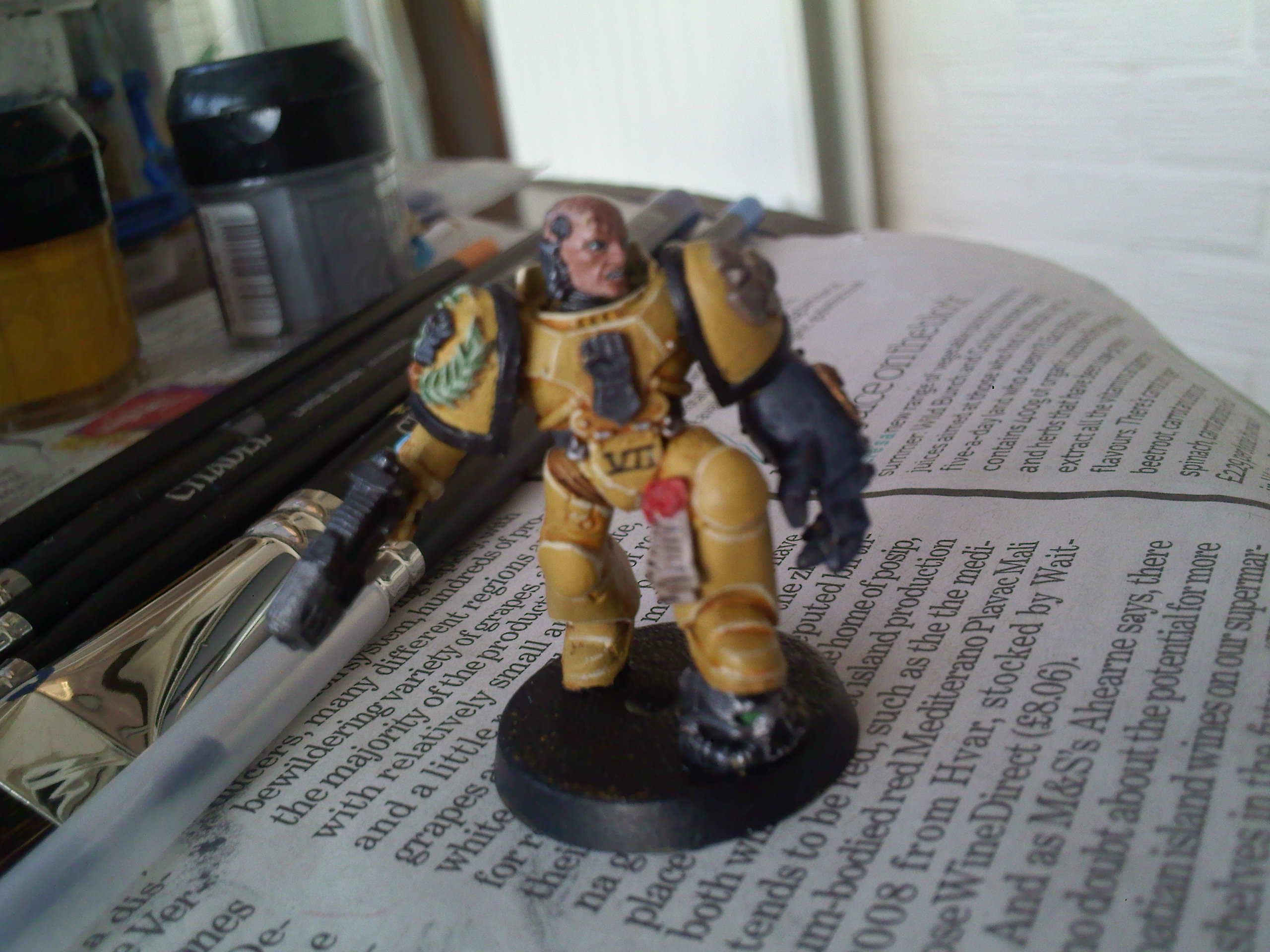 Completed veteran