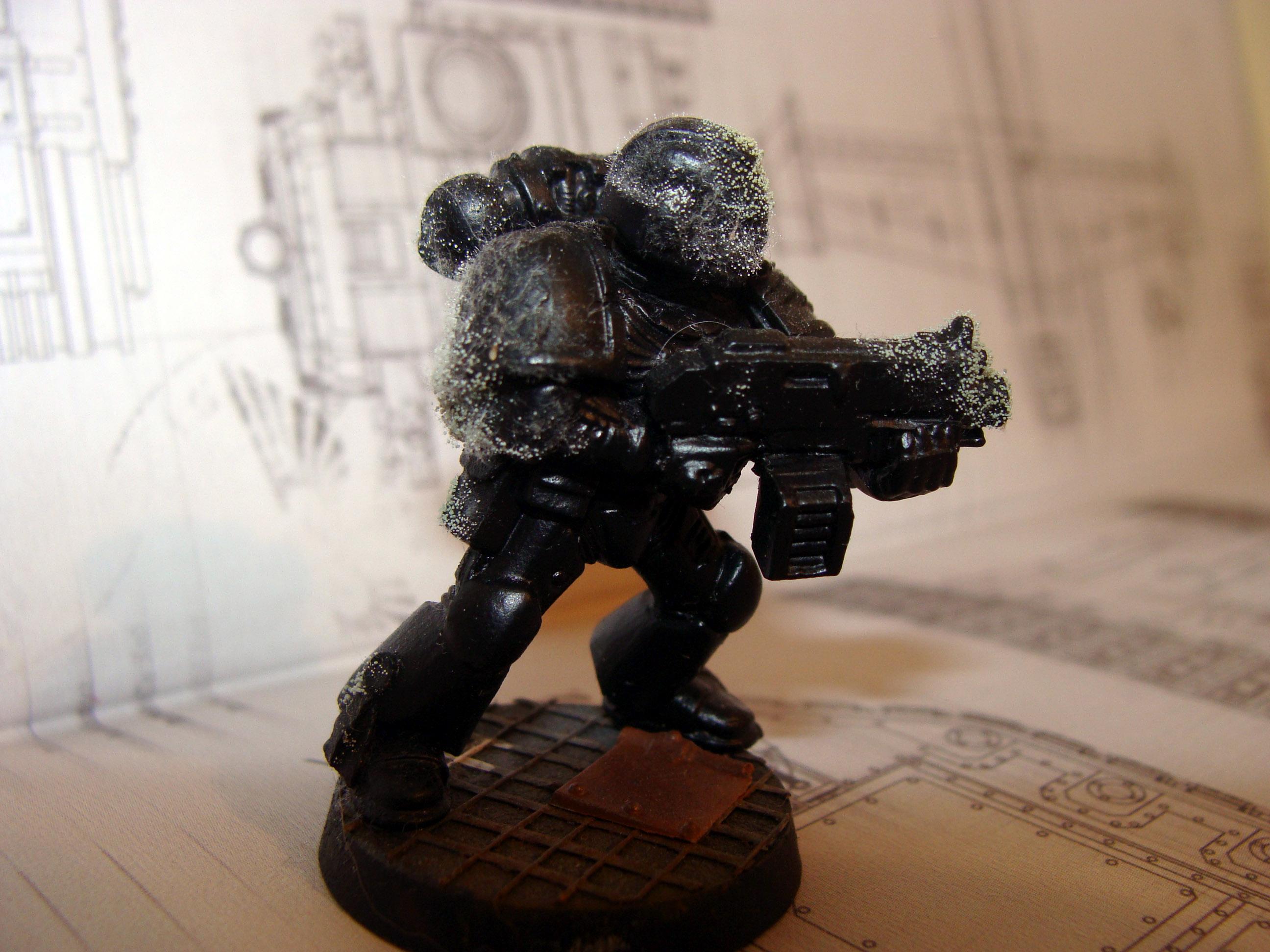 Plague Marines, Space Marines
