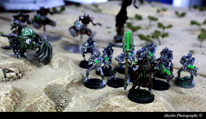 Destroyer, Necron Lord, Necron Warriors, Necrons