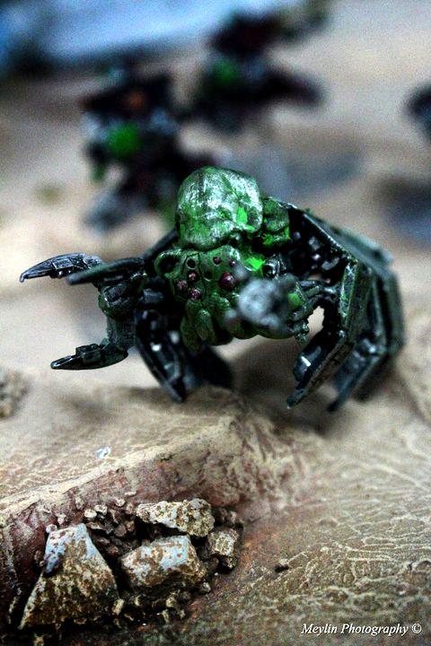 Cthulhu, Necrons, Spyder, Tomb, Tomb Spyder