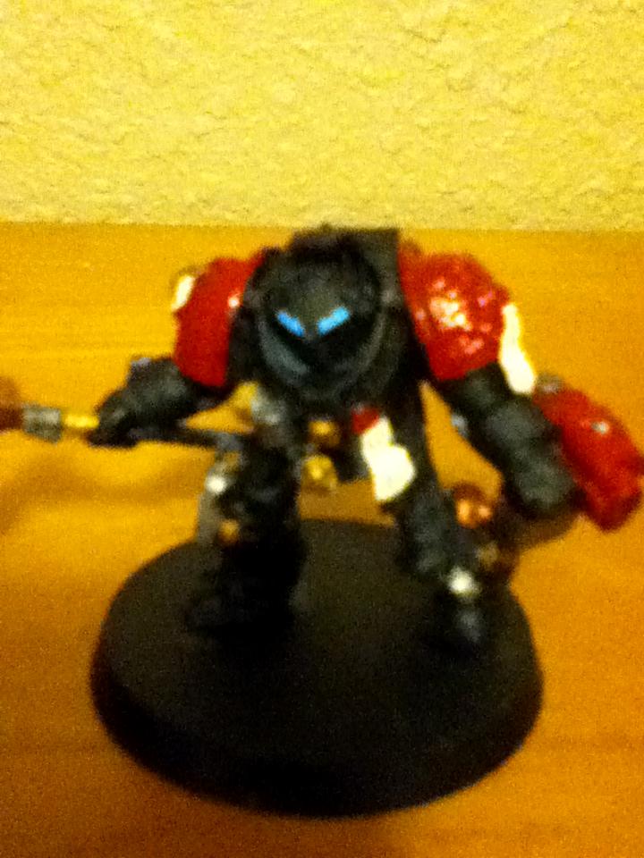 Blurred Photo, Grey Knights, Paladin